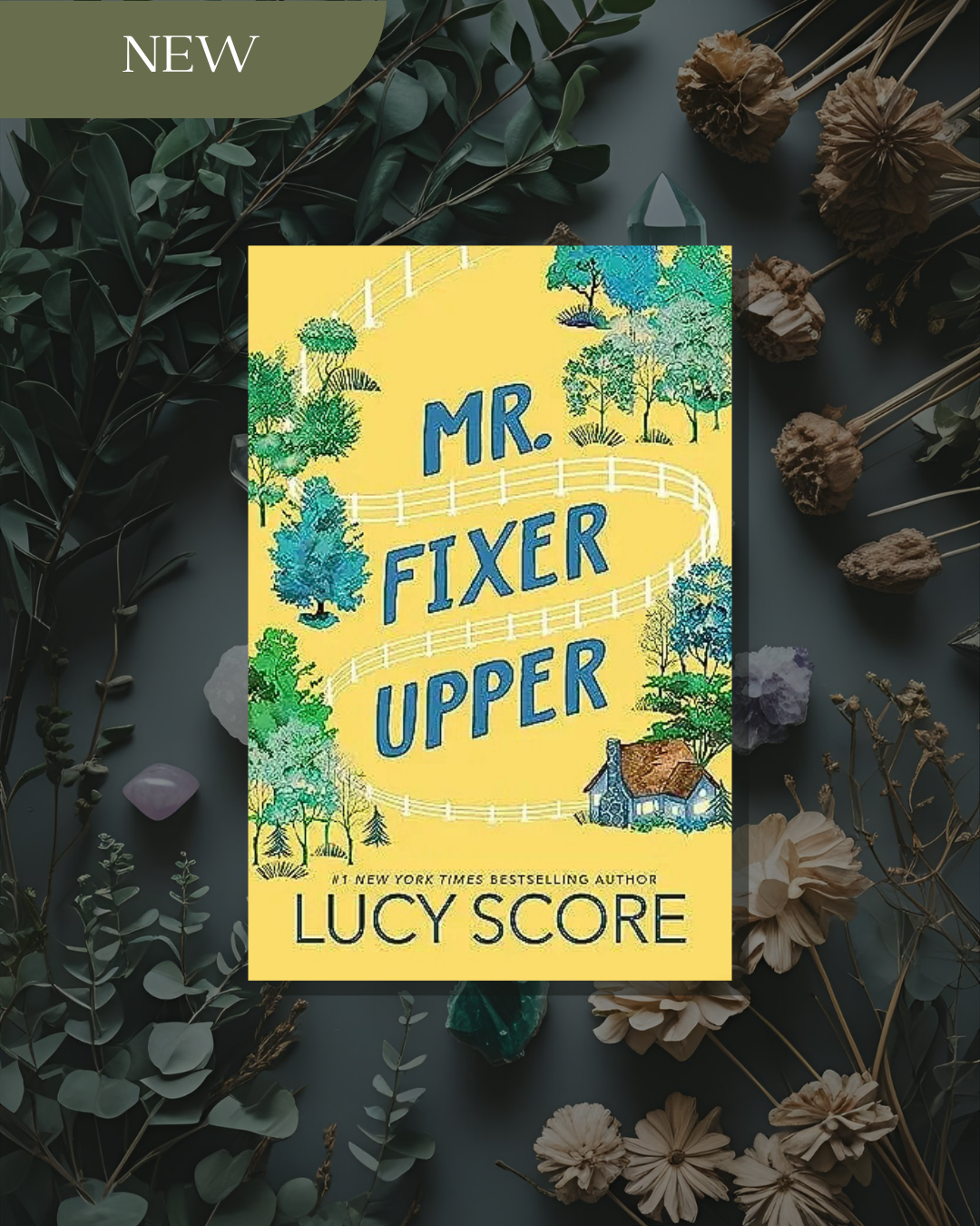 Mr. Fixer Upper