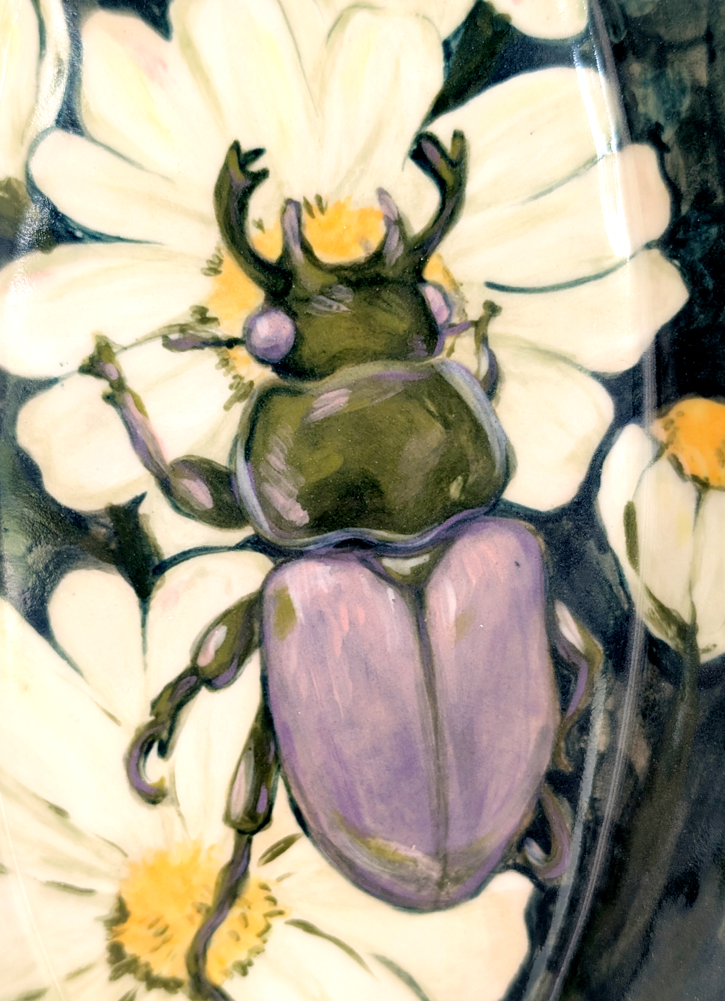 beetle plate 3 edited.png