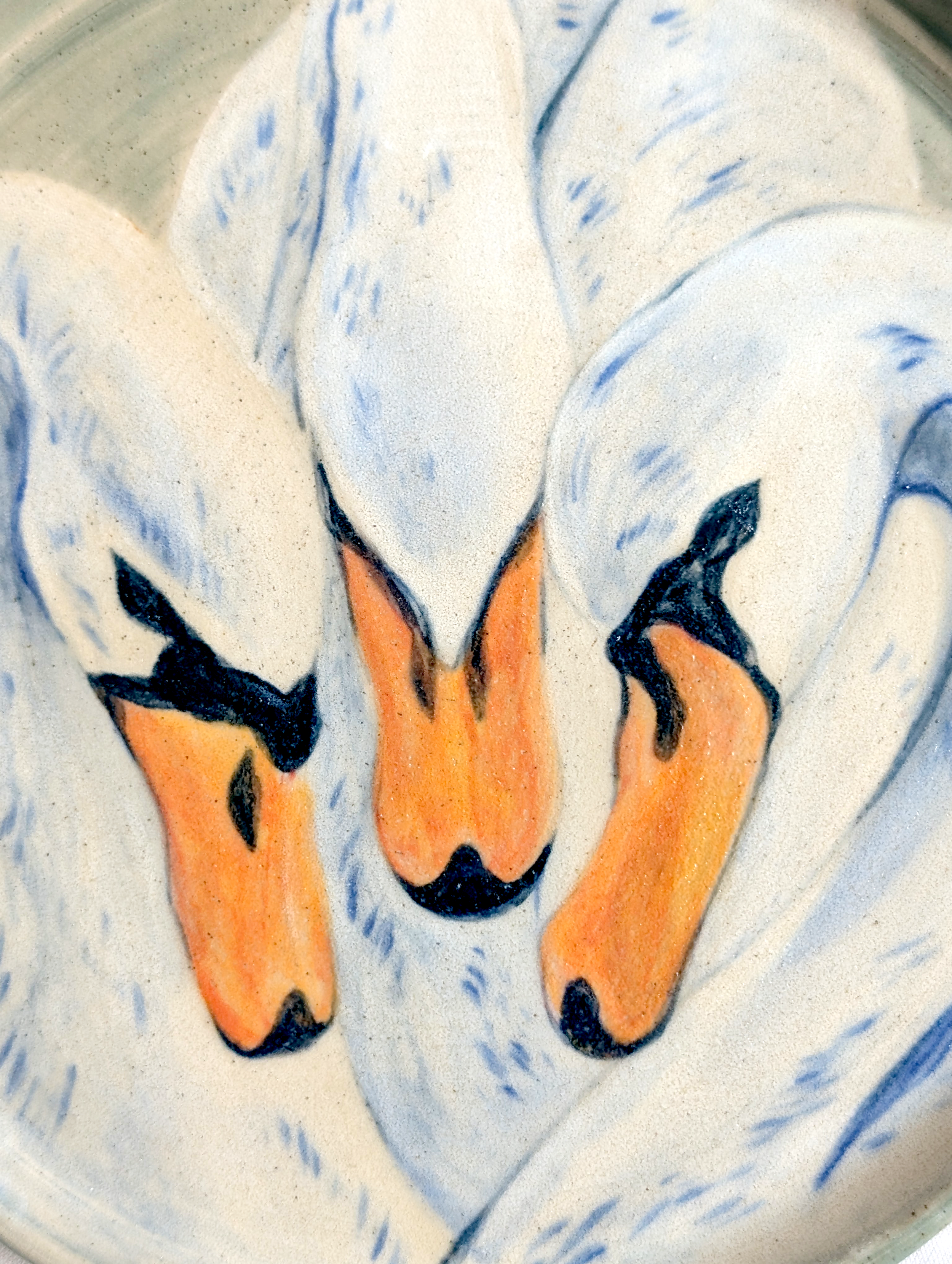 swan plate closeup 1 edited.png