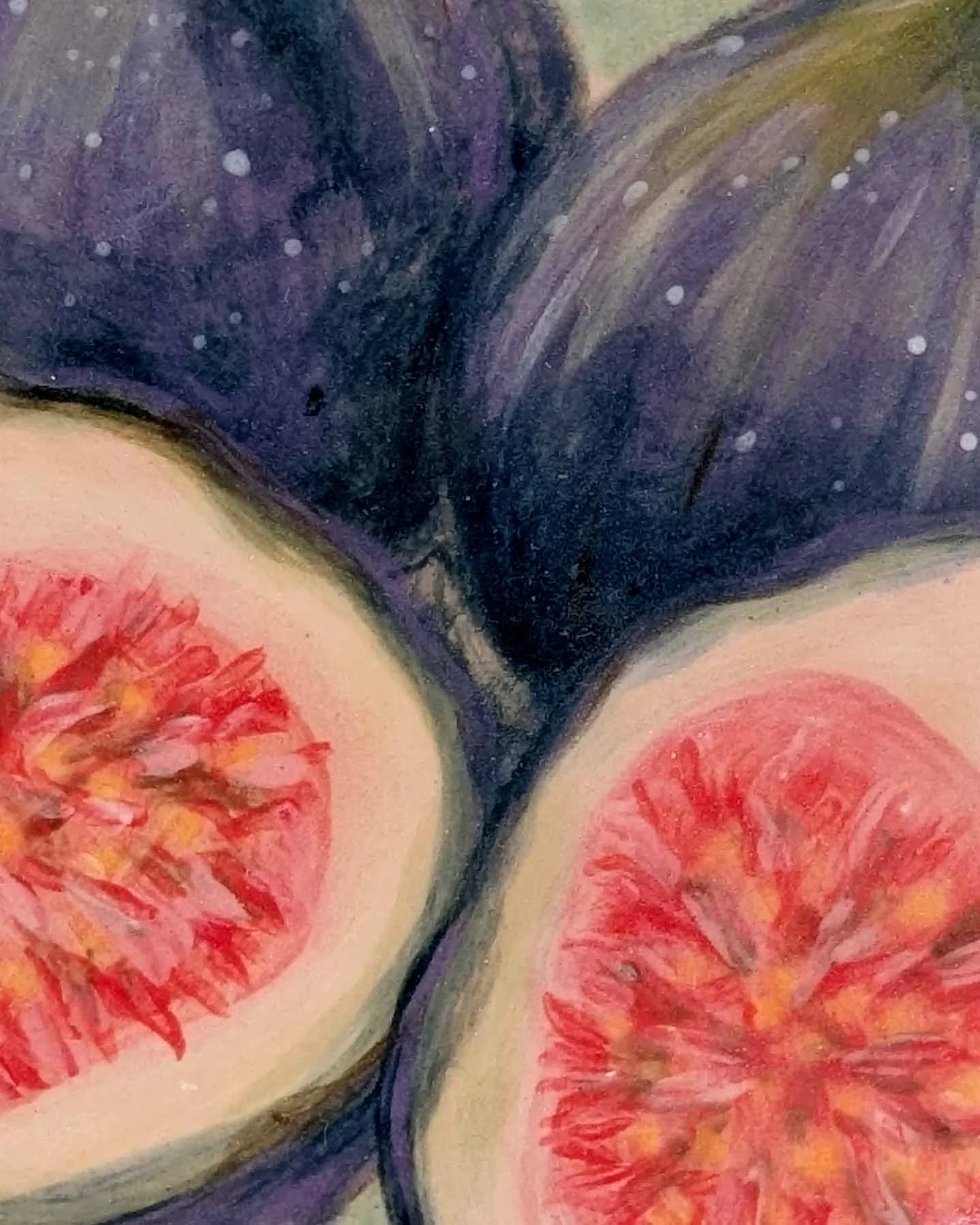 fig plate 3 edited.jpg