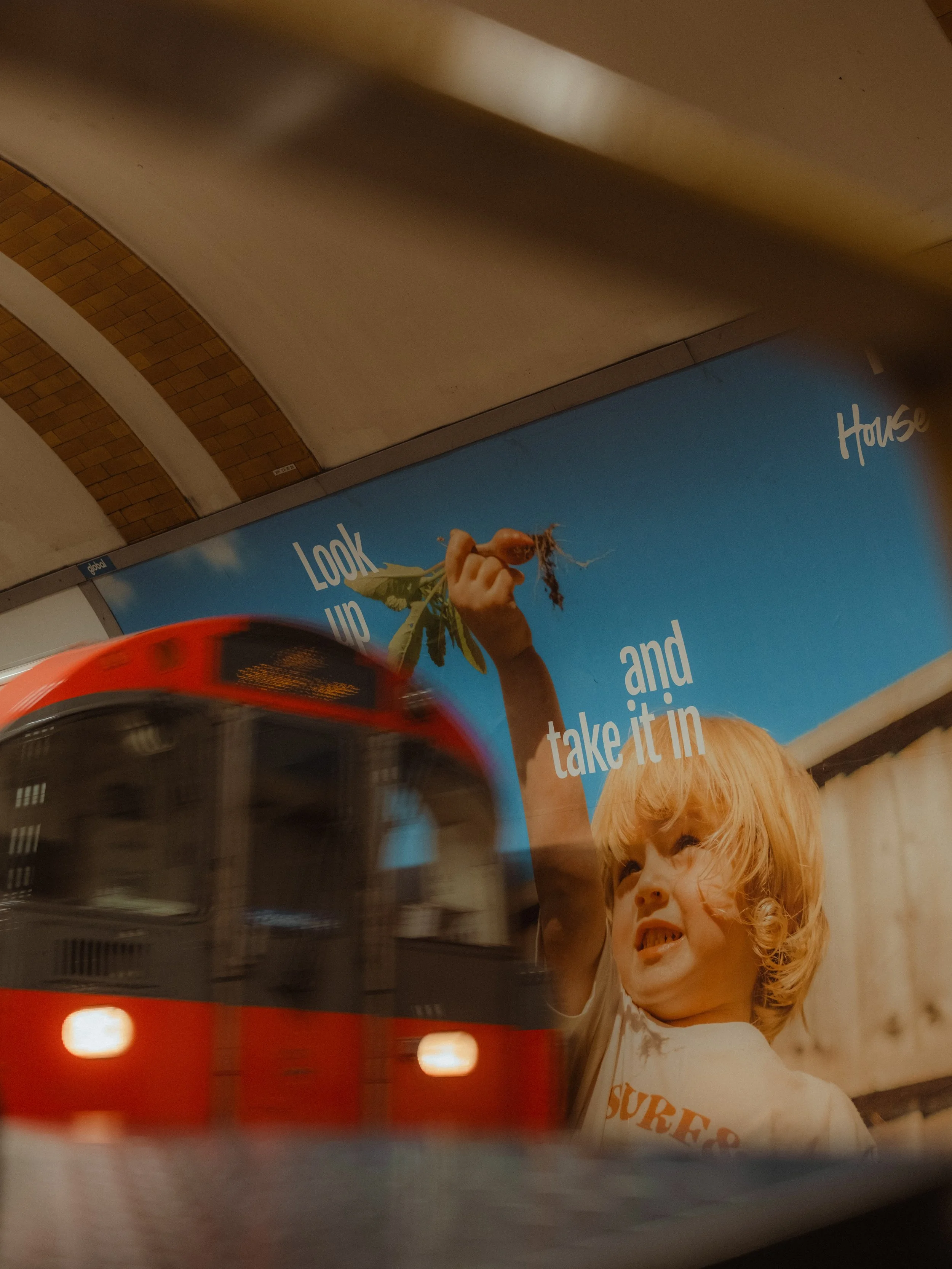 DSCF3743.JPG