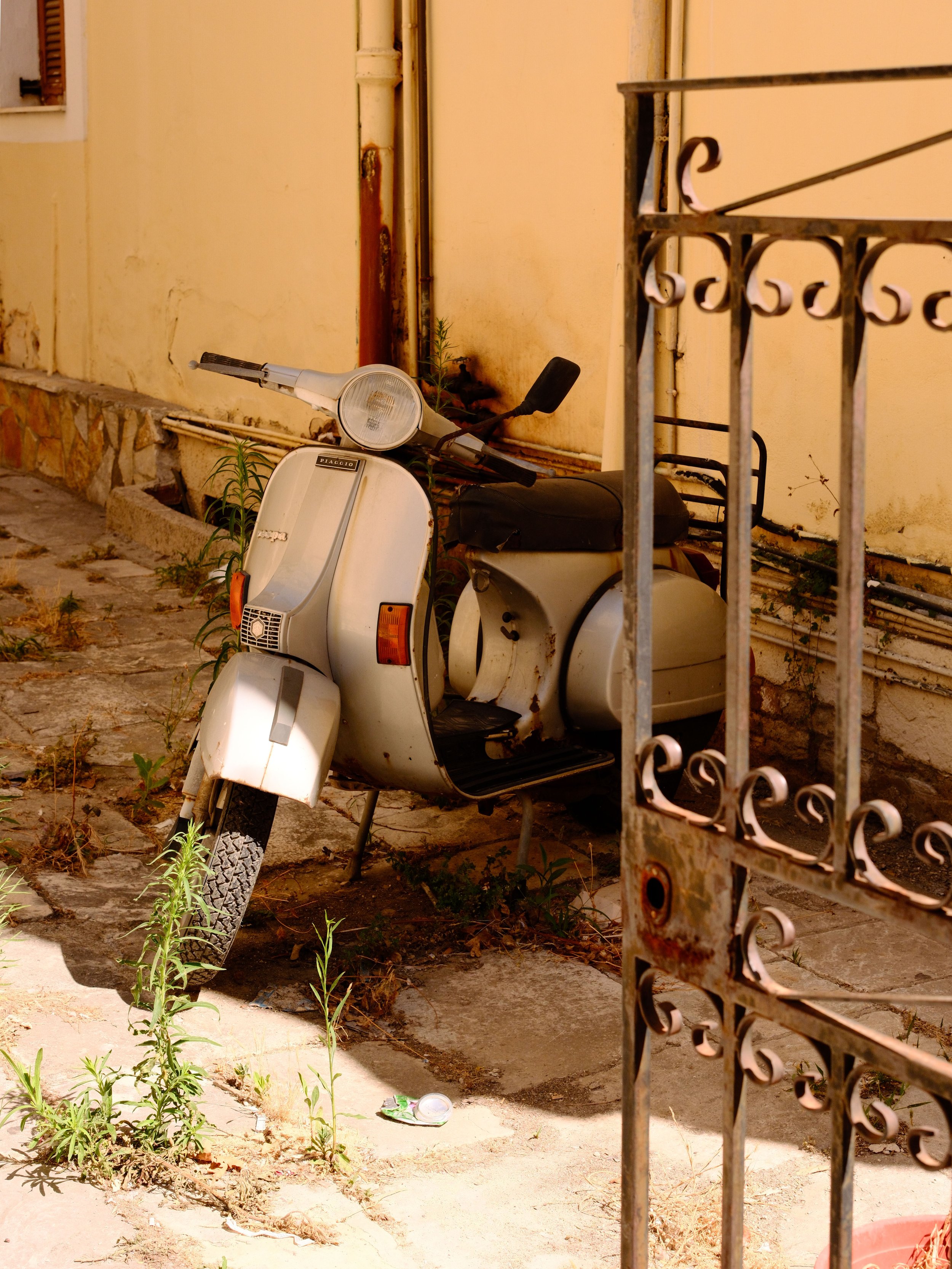 DSCF4217.JPG