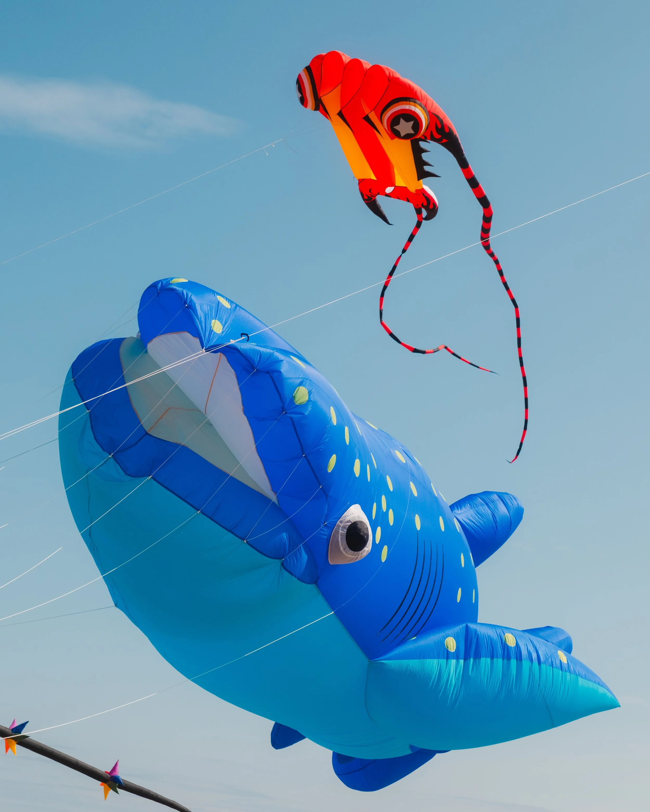 TeesValley-KiteFestival-37.jpg