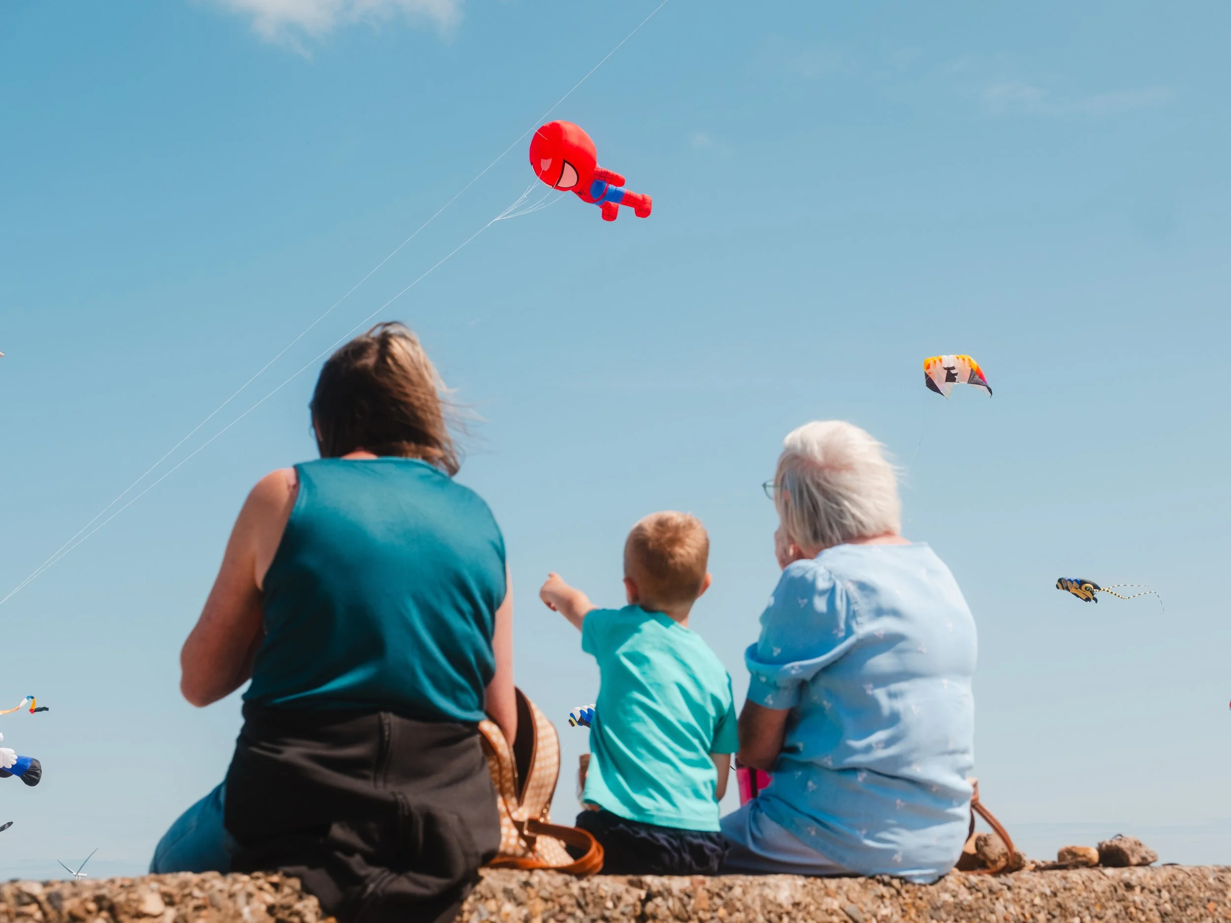 TeesValley-KiteFestival-71.jpg