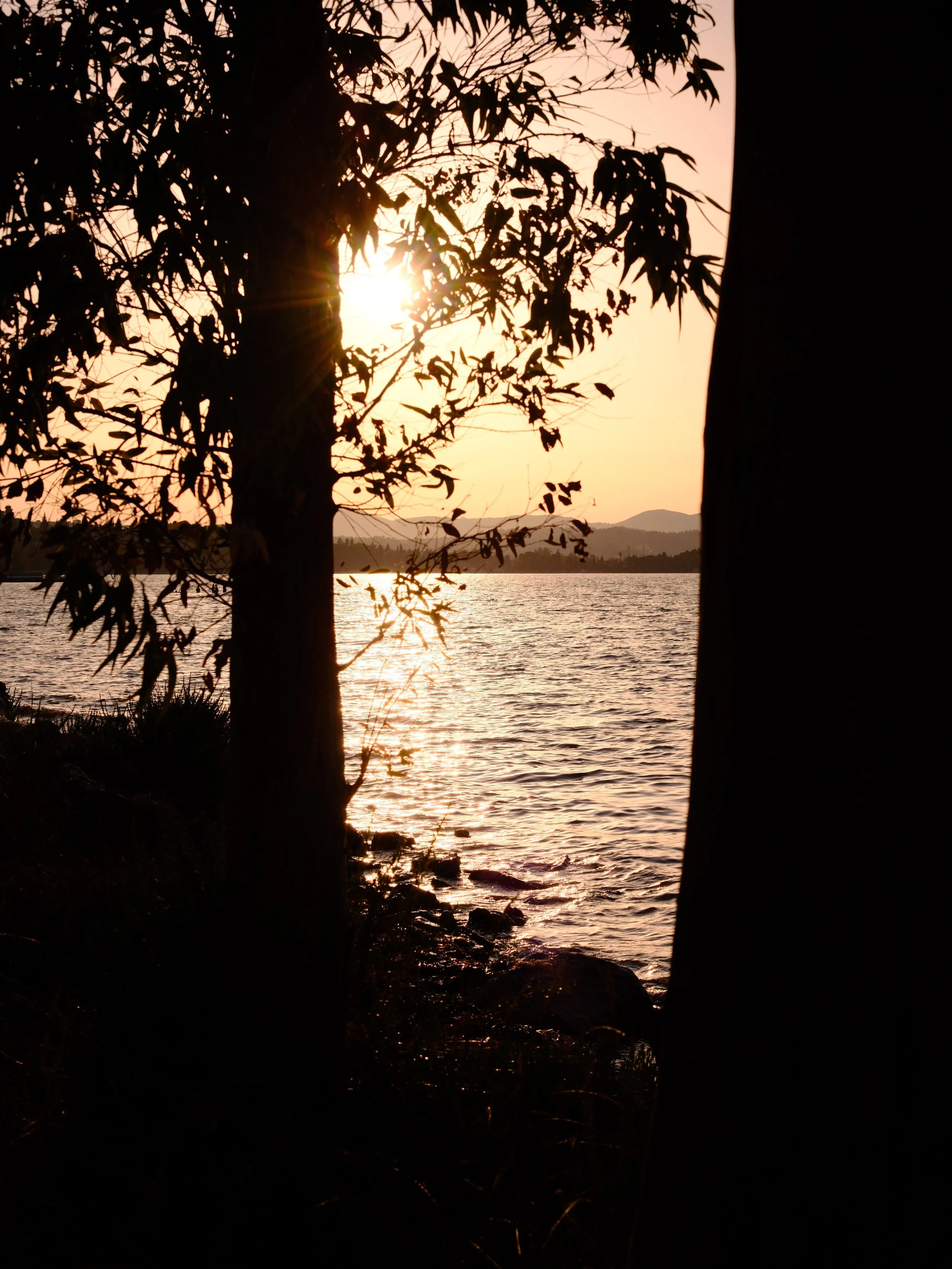 DSCF5787.JPG