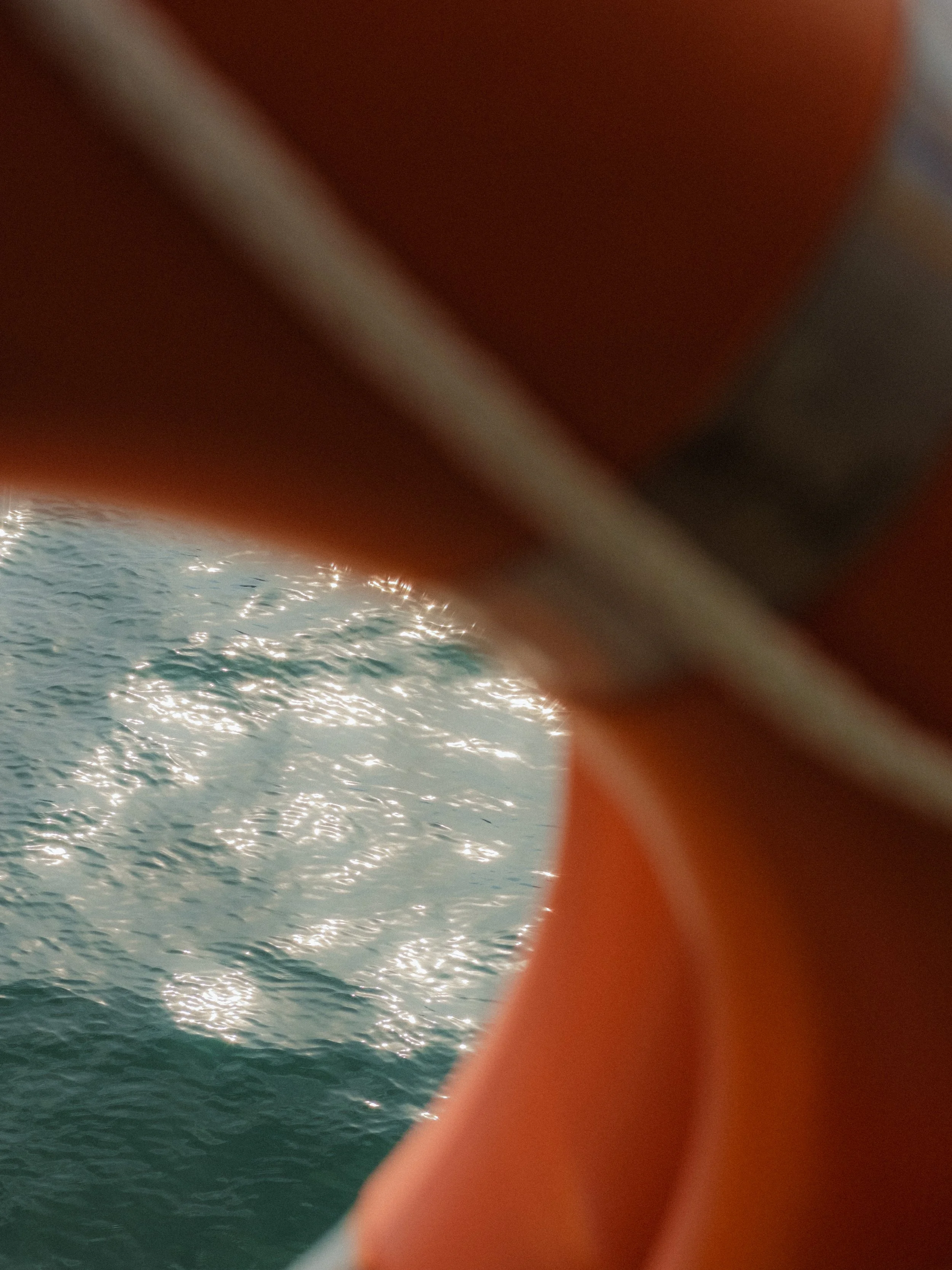 DSCF9184.JPG