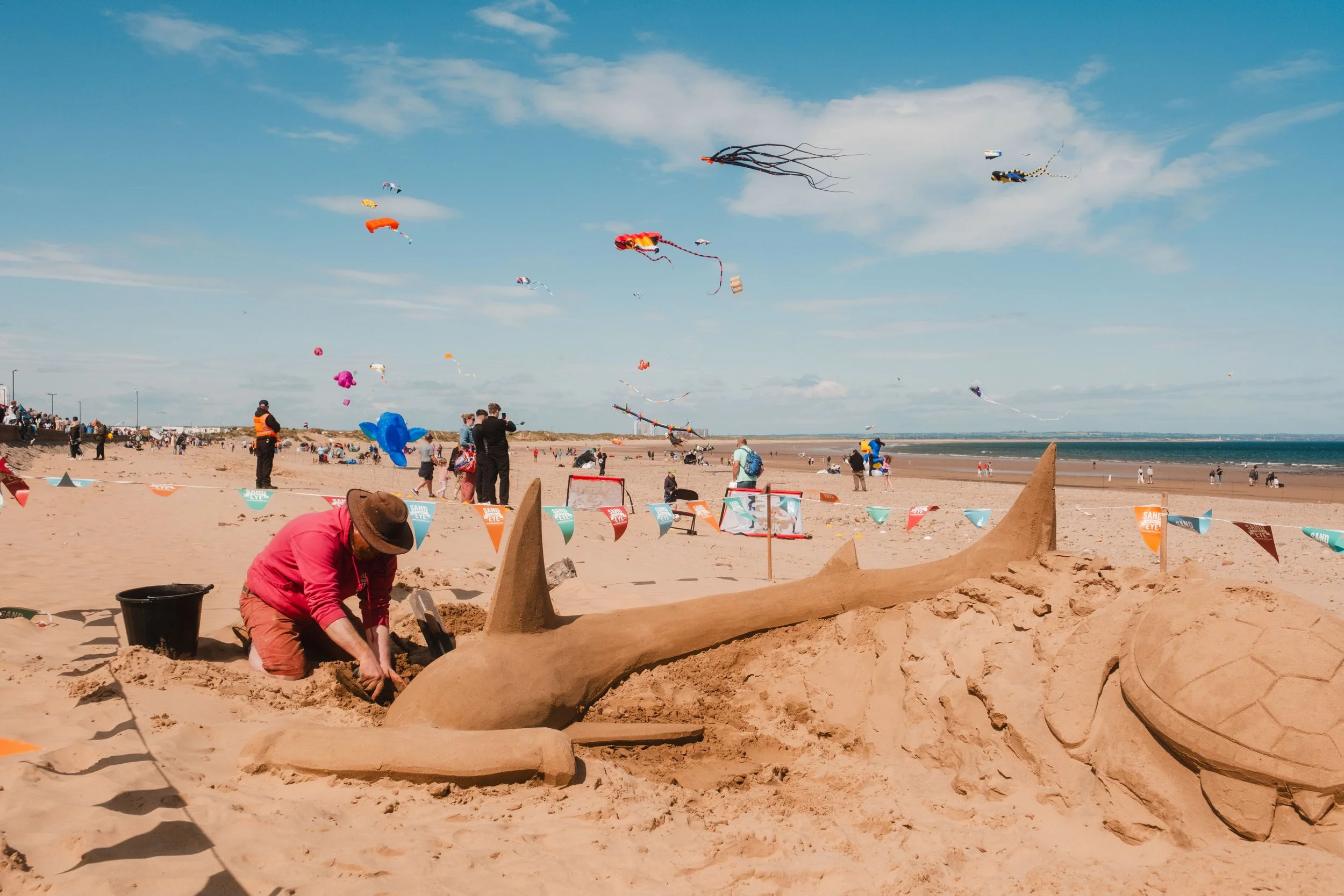 TeesValley-KiteFestival-46.jpg