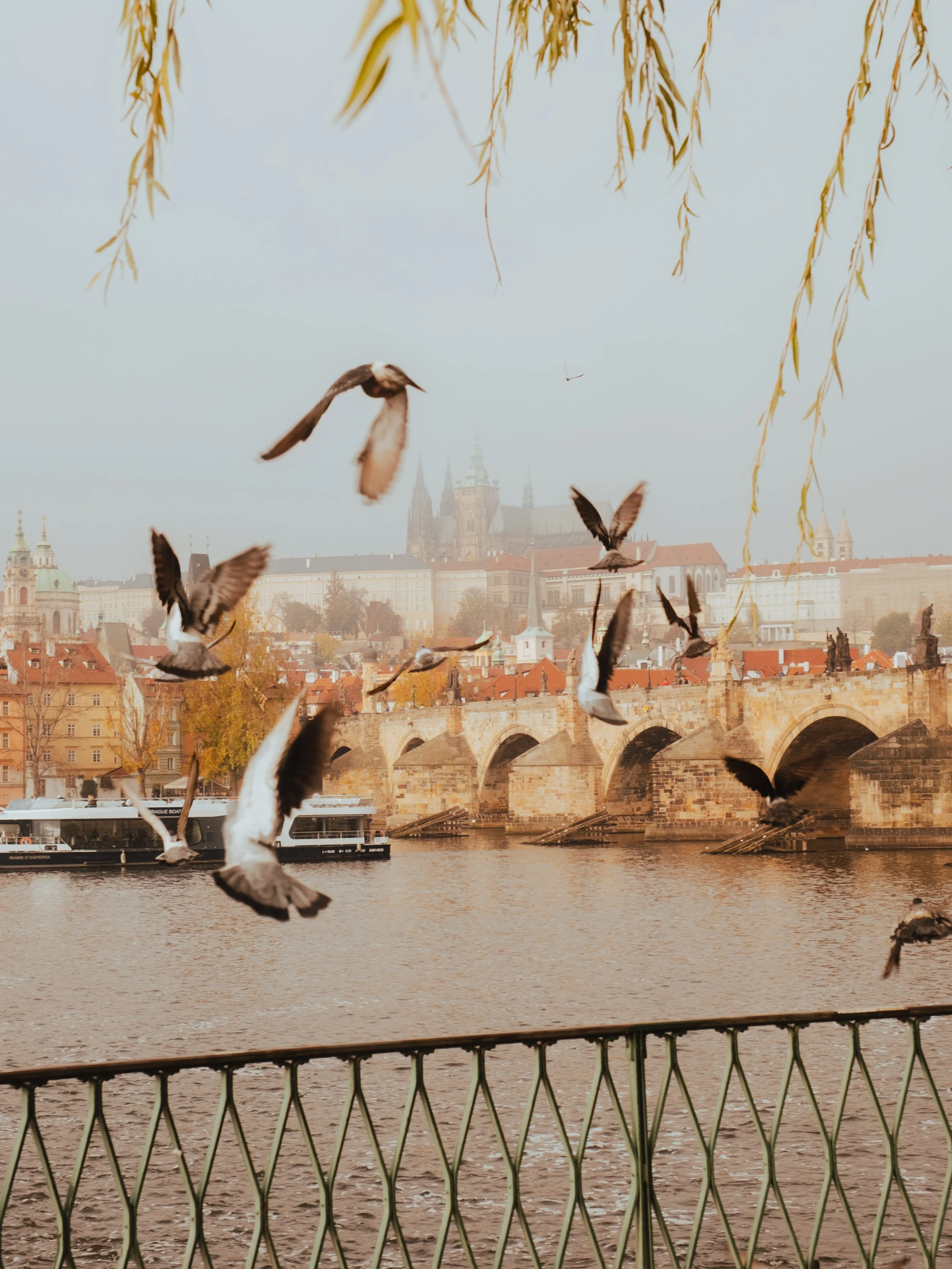 DSCF5261.jpg