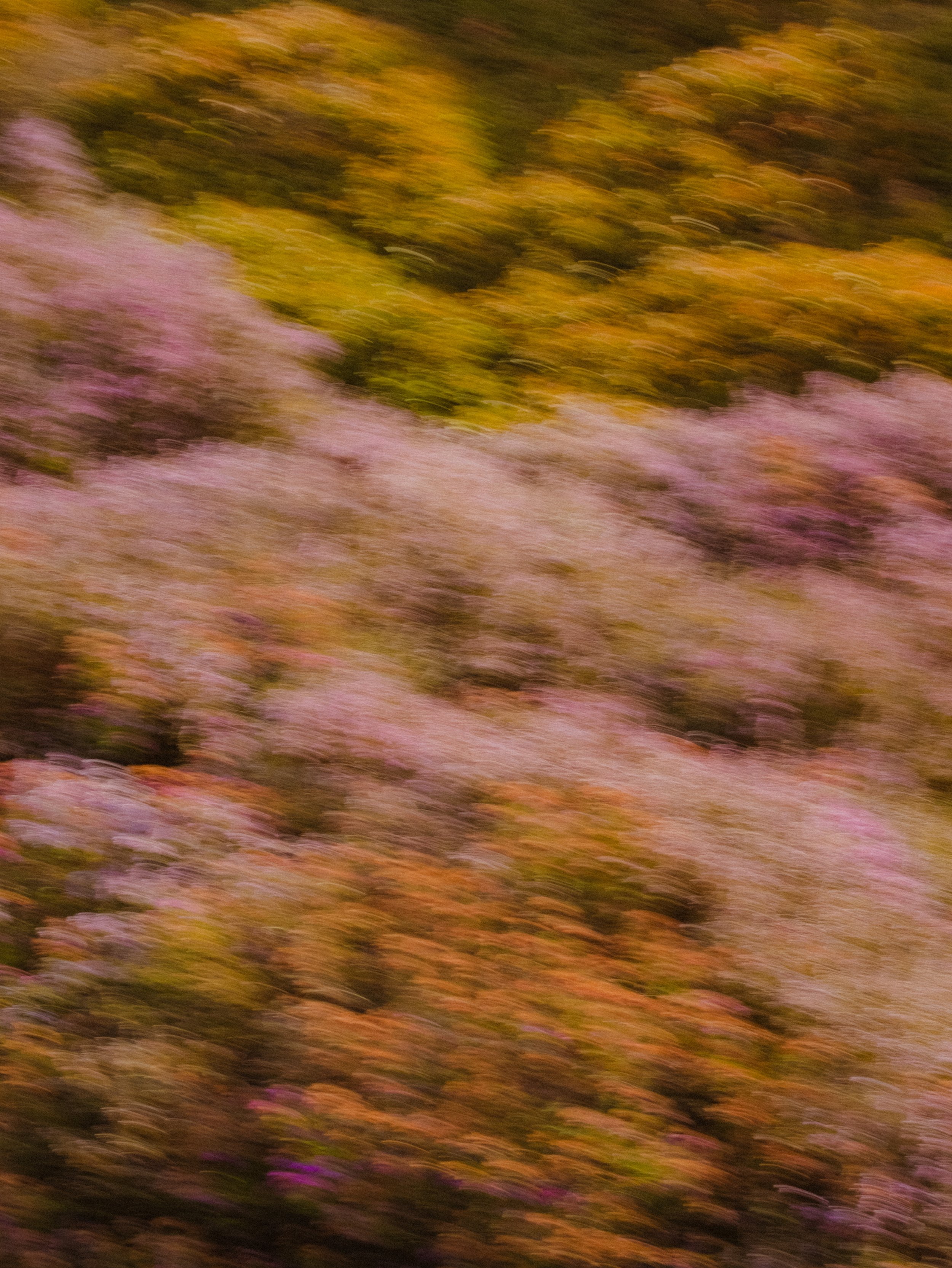 DSCF1718.JPG