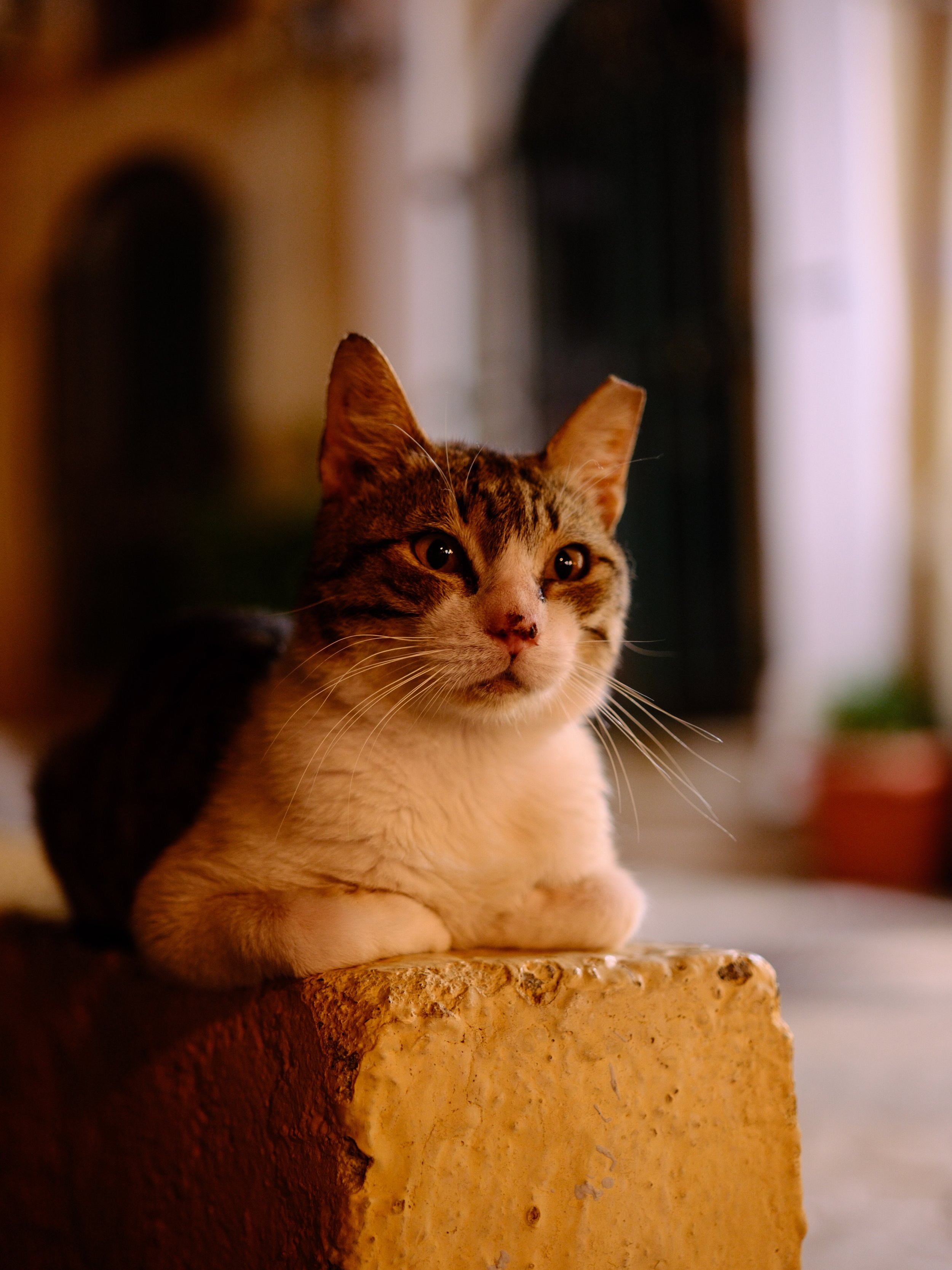 DSCF4889.JPG