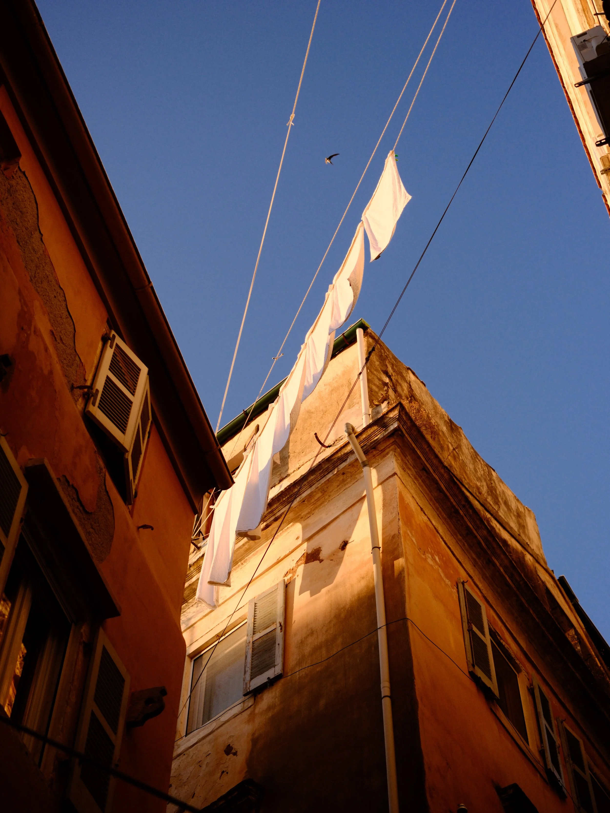 DSCF4878.JPG