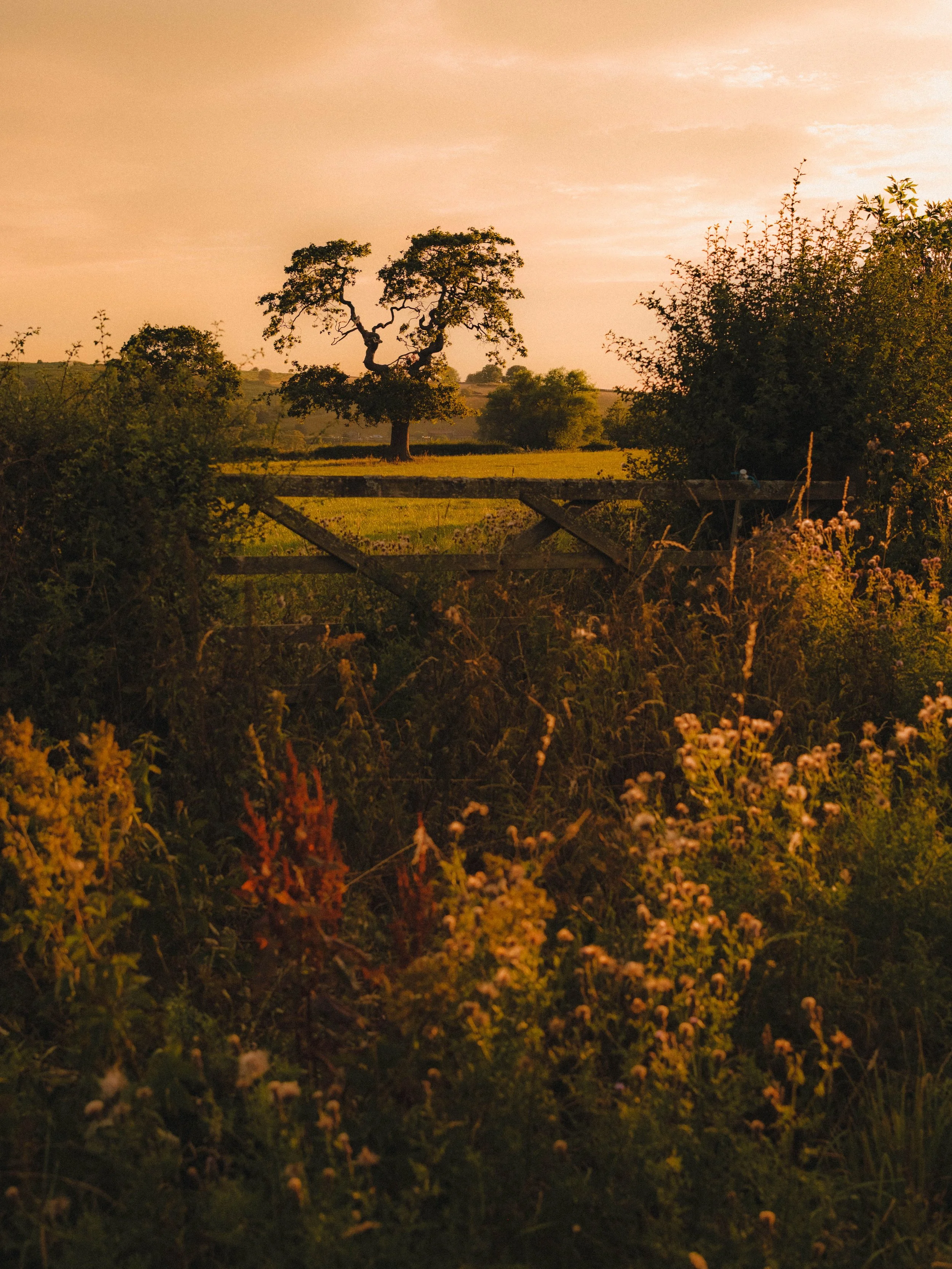 DSCF2153.JPG