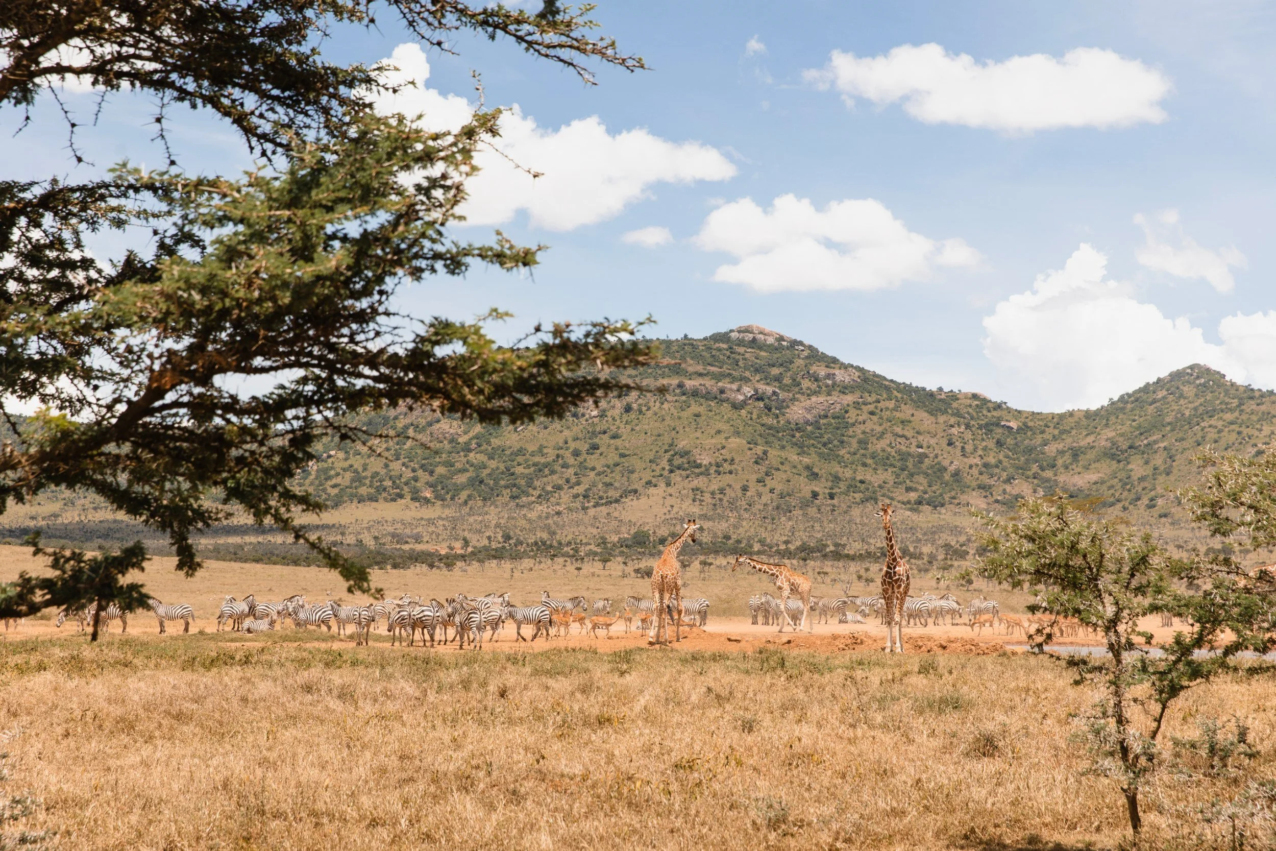 enasoit camp waterhole