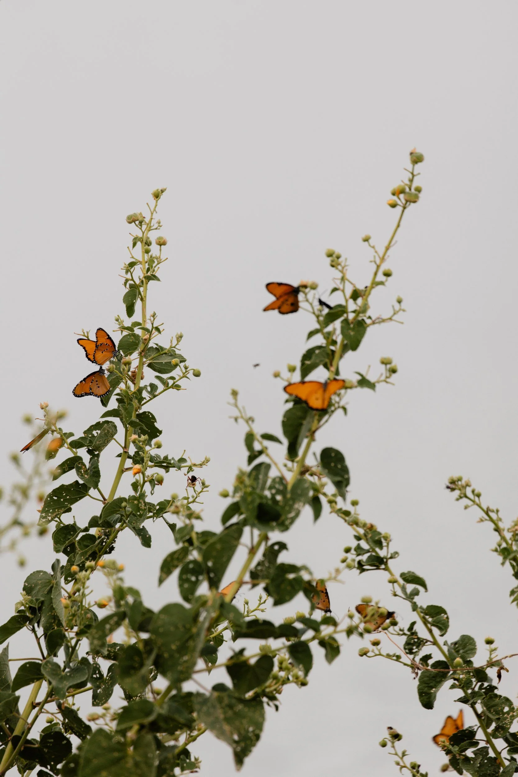 DayThree_081.jpg