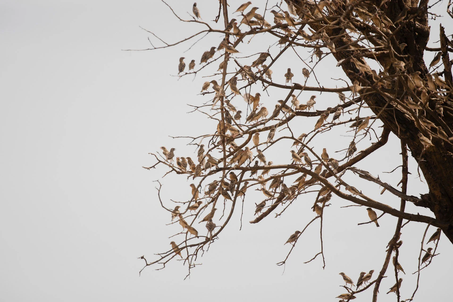 Day6_Mar24_474.jpg