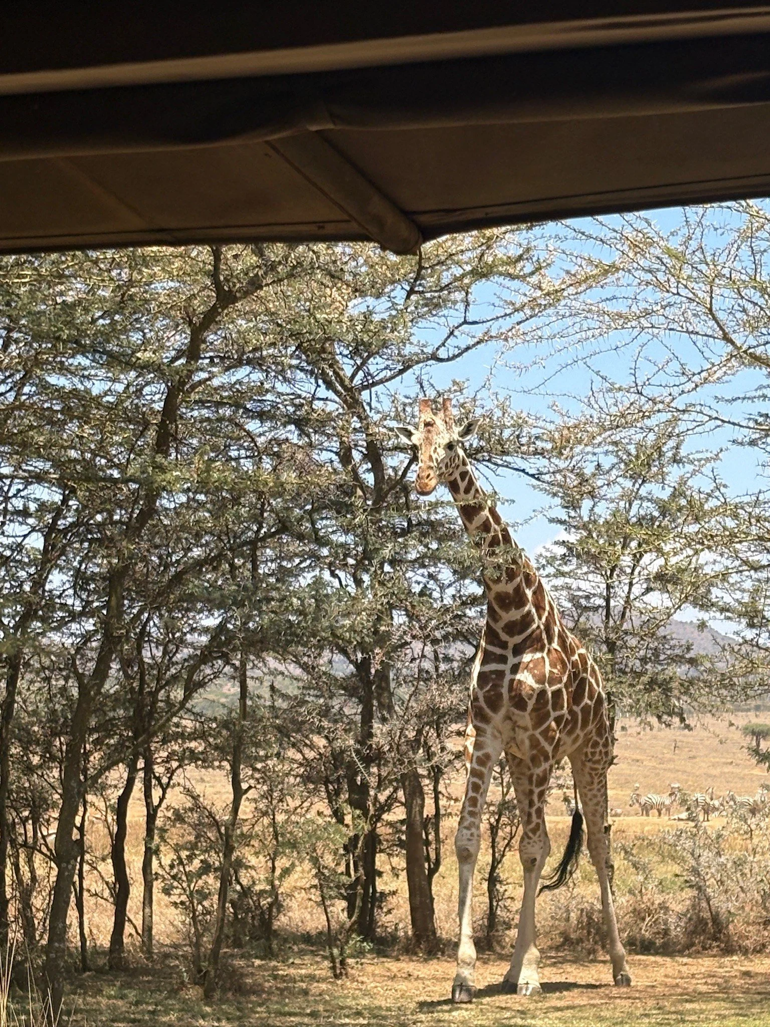 Enasoit February 2026-109.jpg