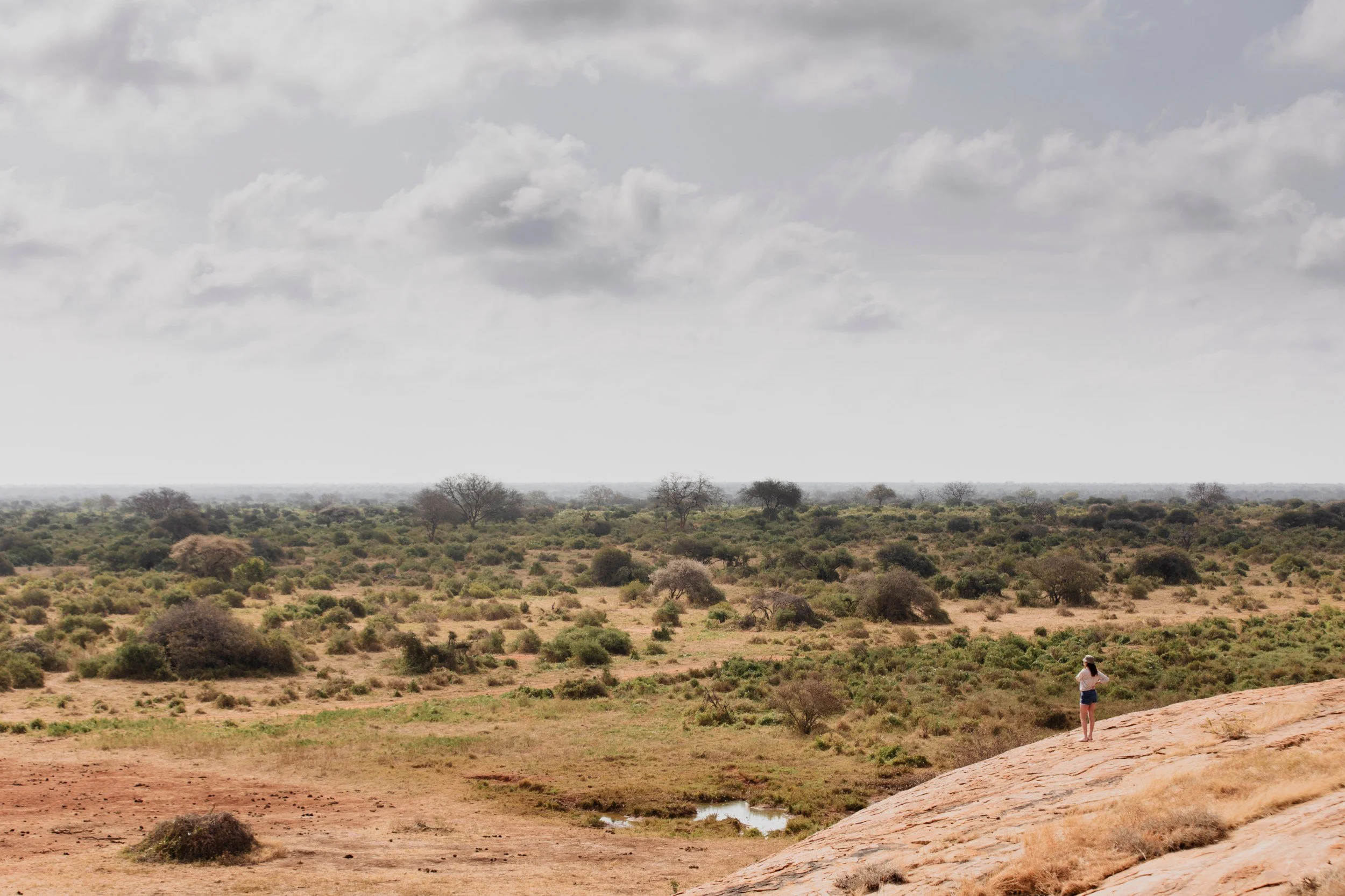 Private Yoga safari at Galdessa Camp on the Galana River, Tsavo East, Kenya, February 2024. Day seven with Wildlife & Yoga