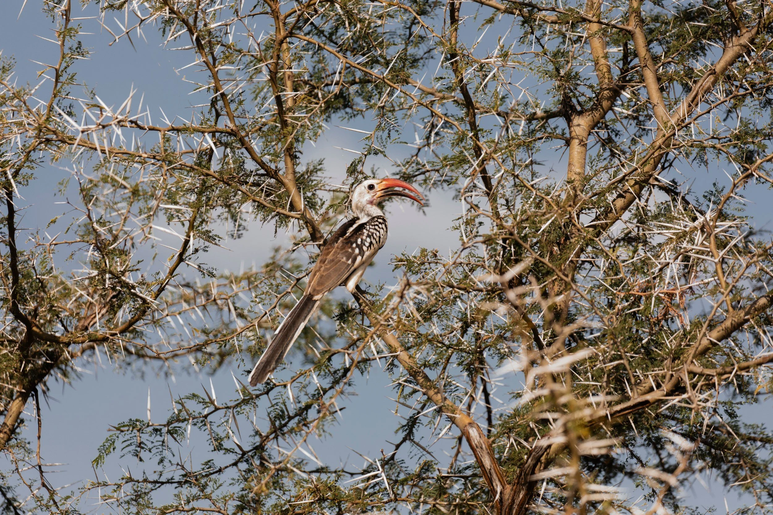 DaySix_006.jpg