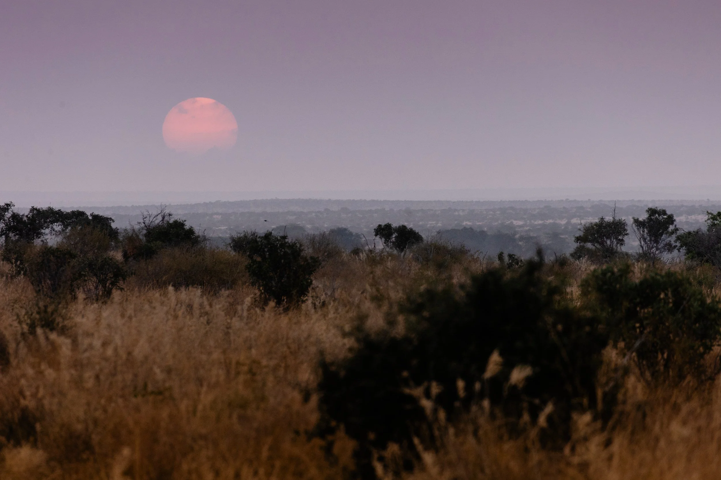 DaySix_001.jpg