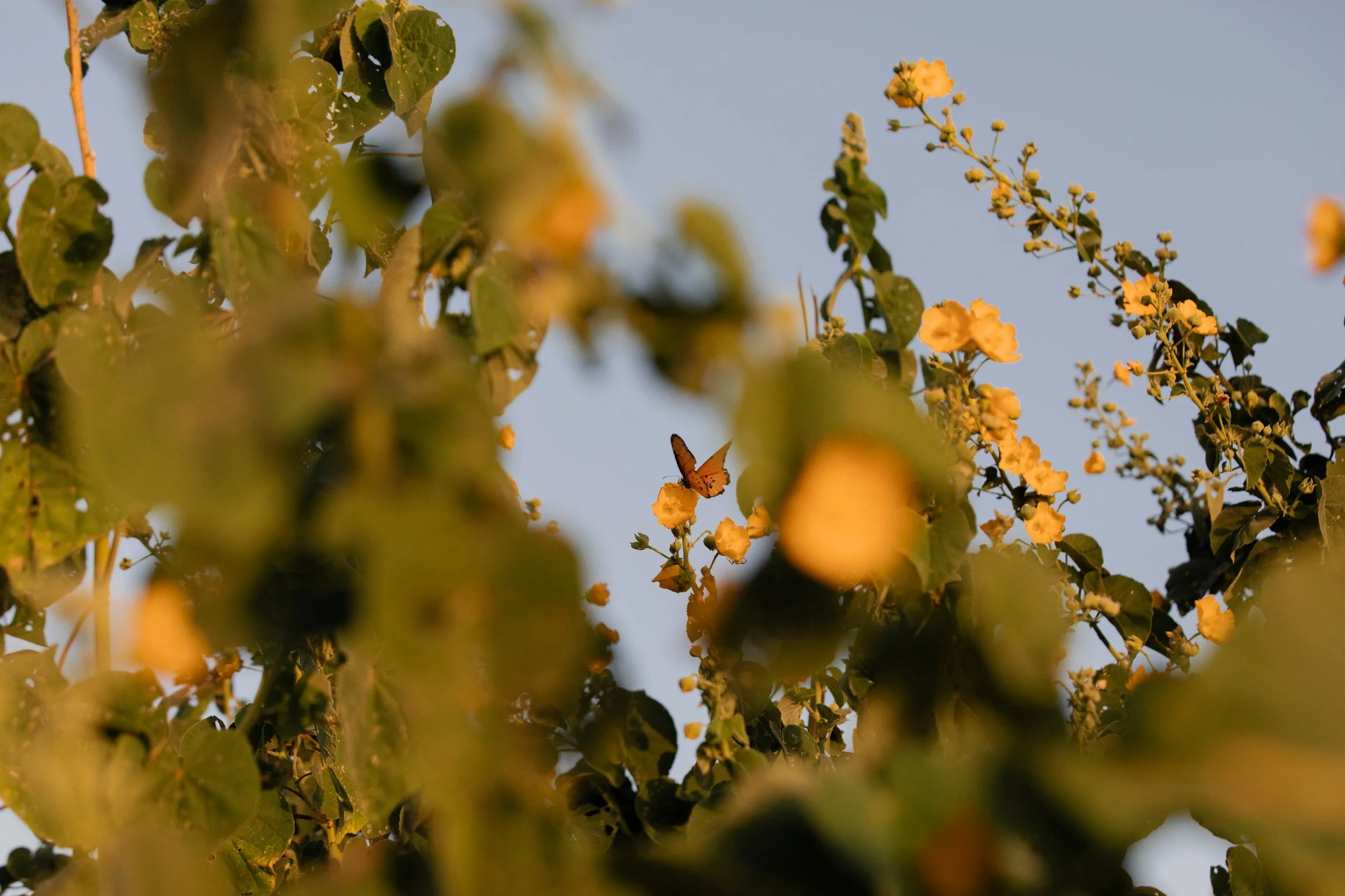 DayThree_103.jpg