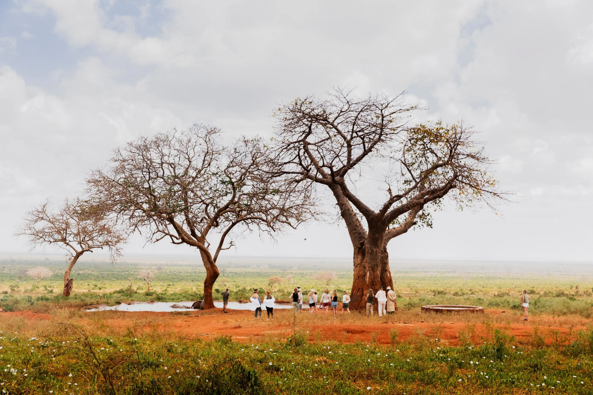Private Yoga safari at Galdessa Camp on the Galana River, Tsavo East, Kenya, February 2024. Day seven with Wildlife & Yoga