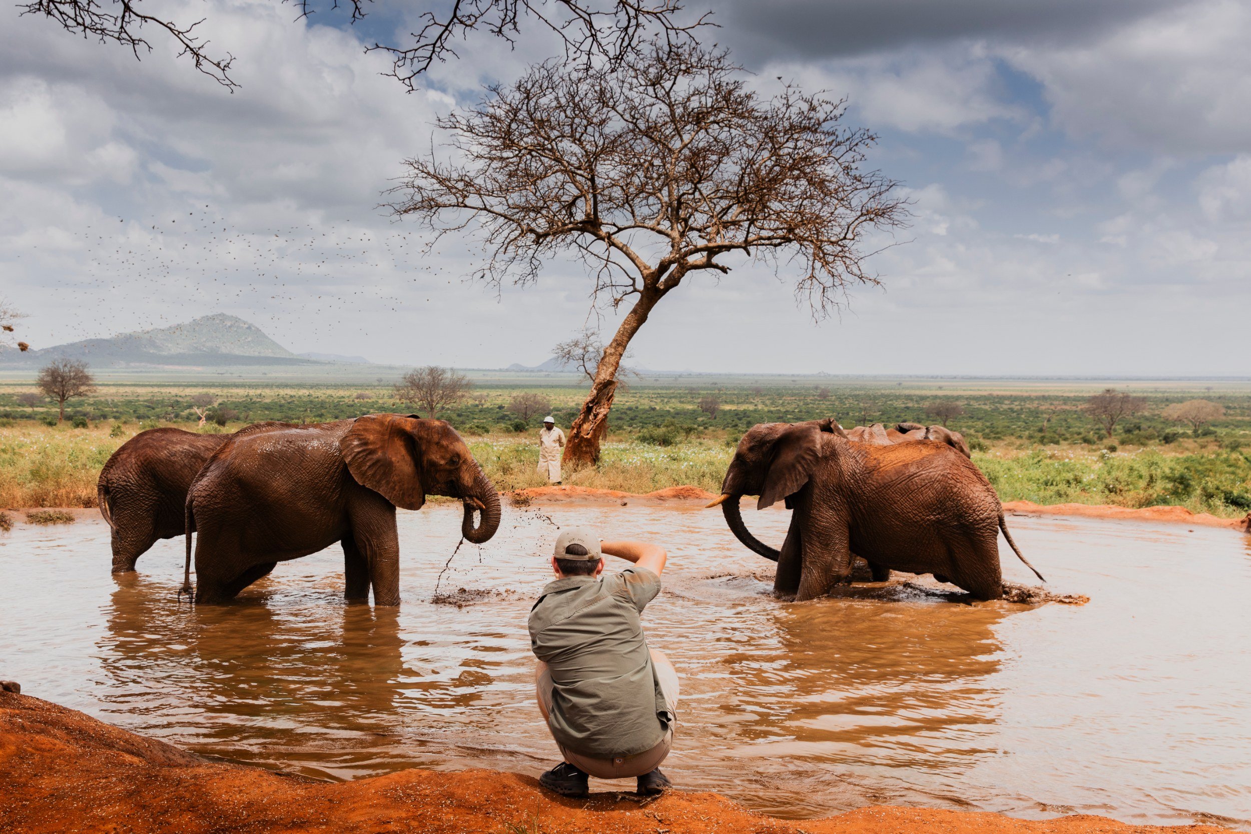 Private Yoga safari at Galdessa Camp on the Galana River, Tsavo East, Kenya, February 2024. Day seven with Wildlife & Yoga