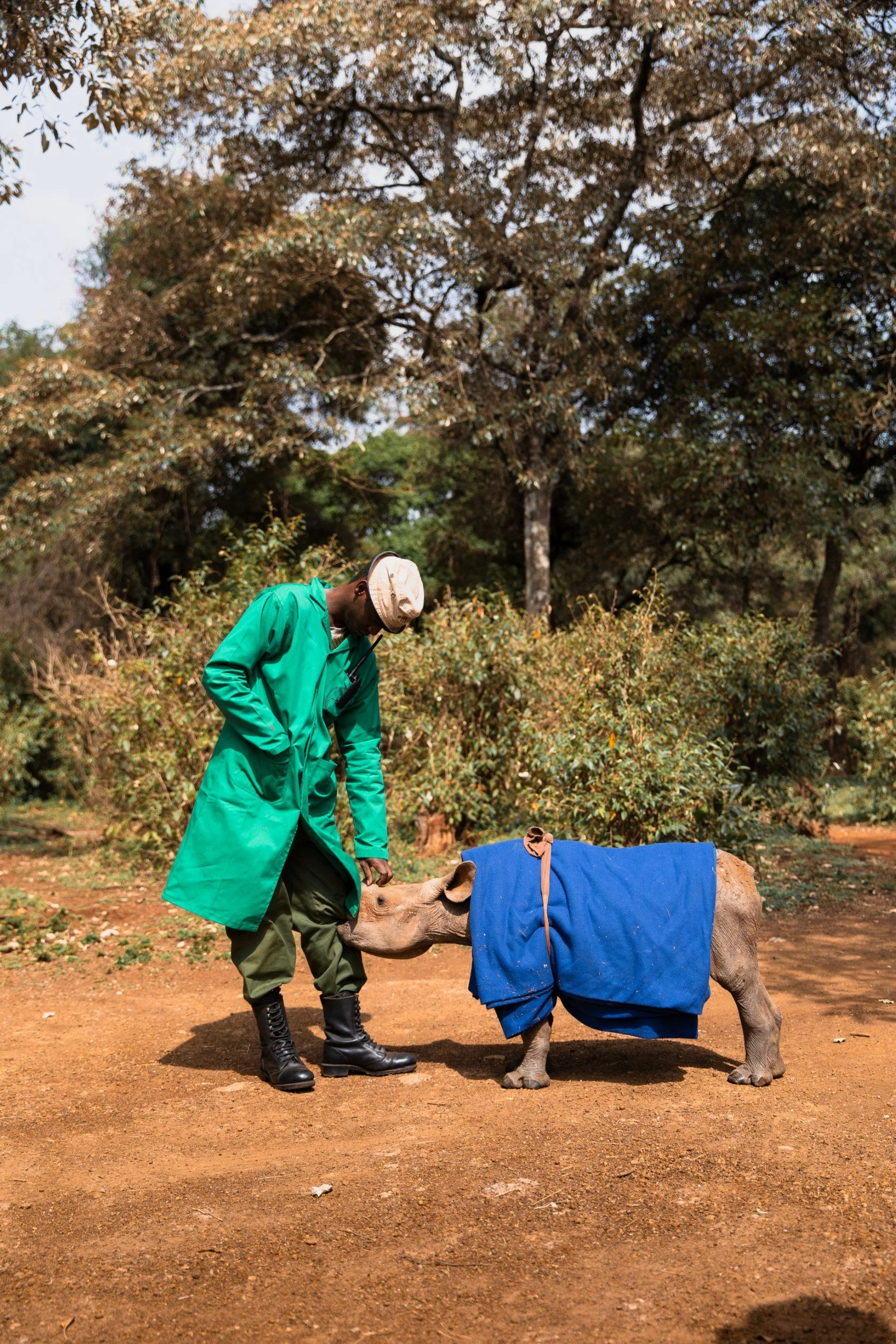 Sheldrick Wildlife Trust Rhino