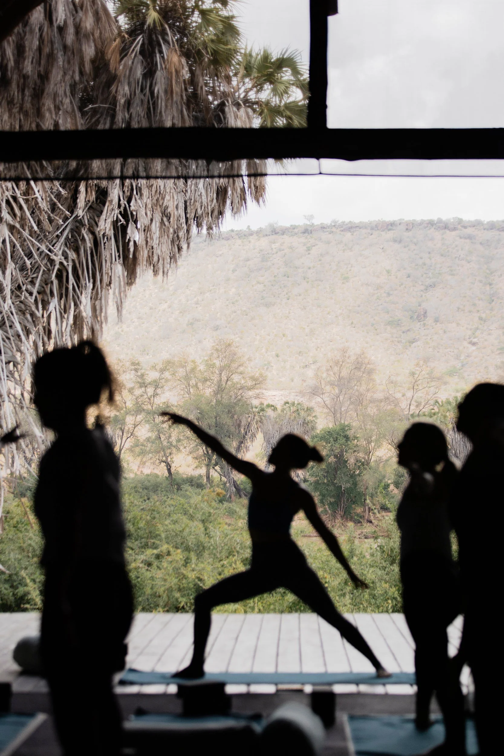 Private Yoga safari at Galdessa Camp on the Galana River, Tsavo East, Kenya, February 2024. Day eight with Wildlife & Yoga