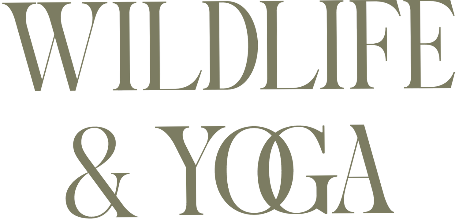 Wildlife &amp; Yoga