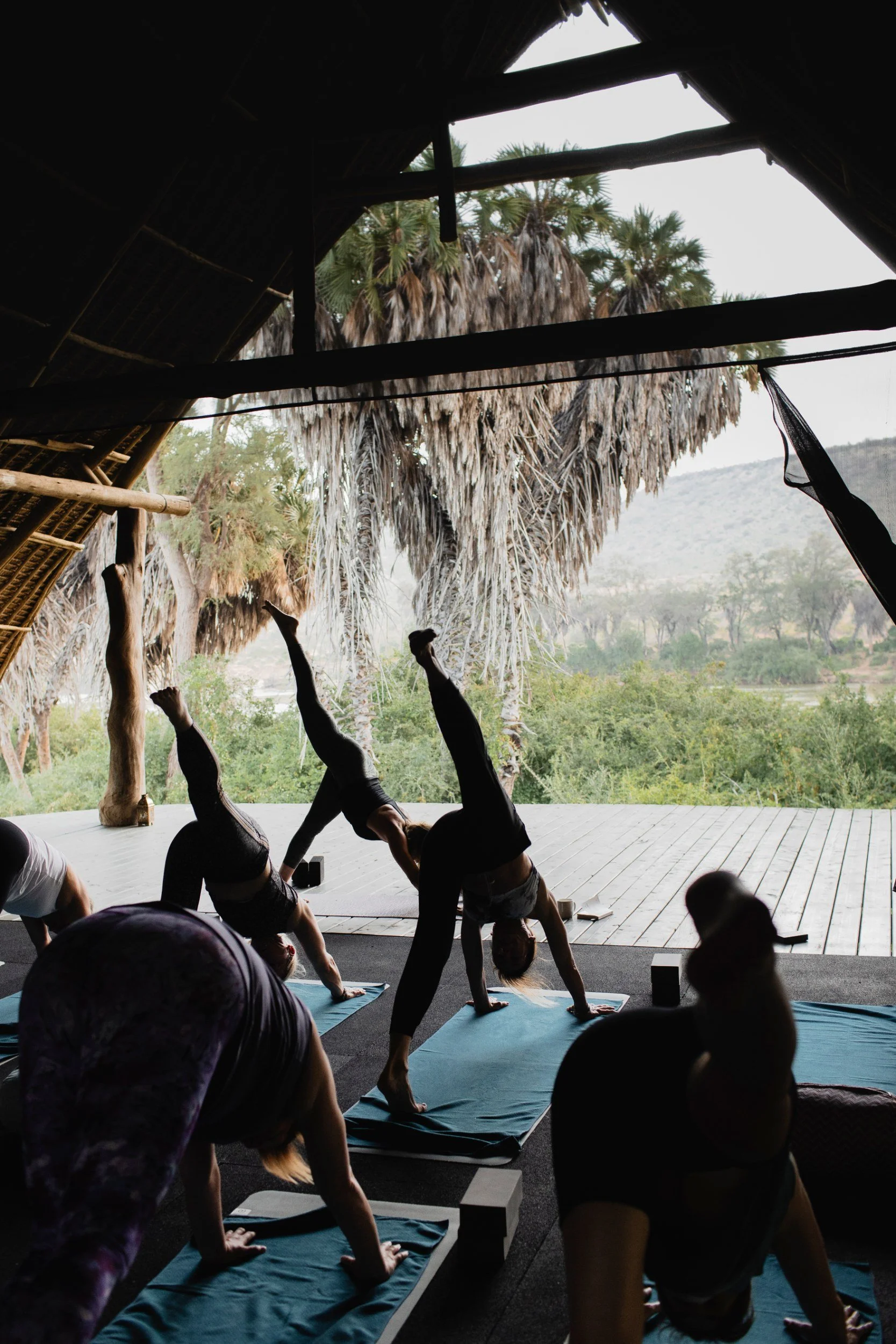 Private Yoga safari at Galdessa Camp on the Galana River, Tsavo East, Kenya, February 2024. Day nine with Wildlife & Yoga