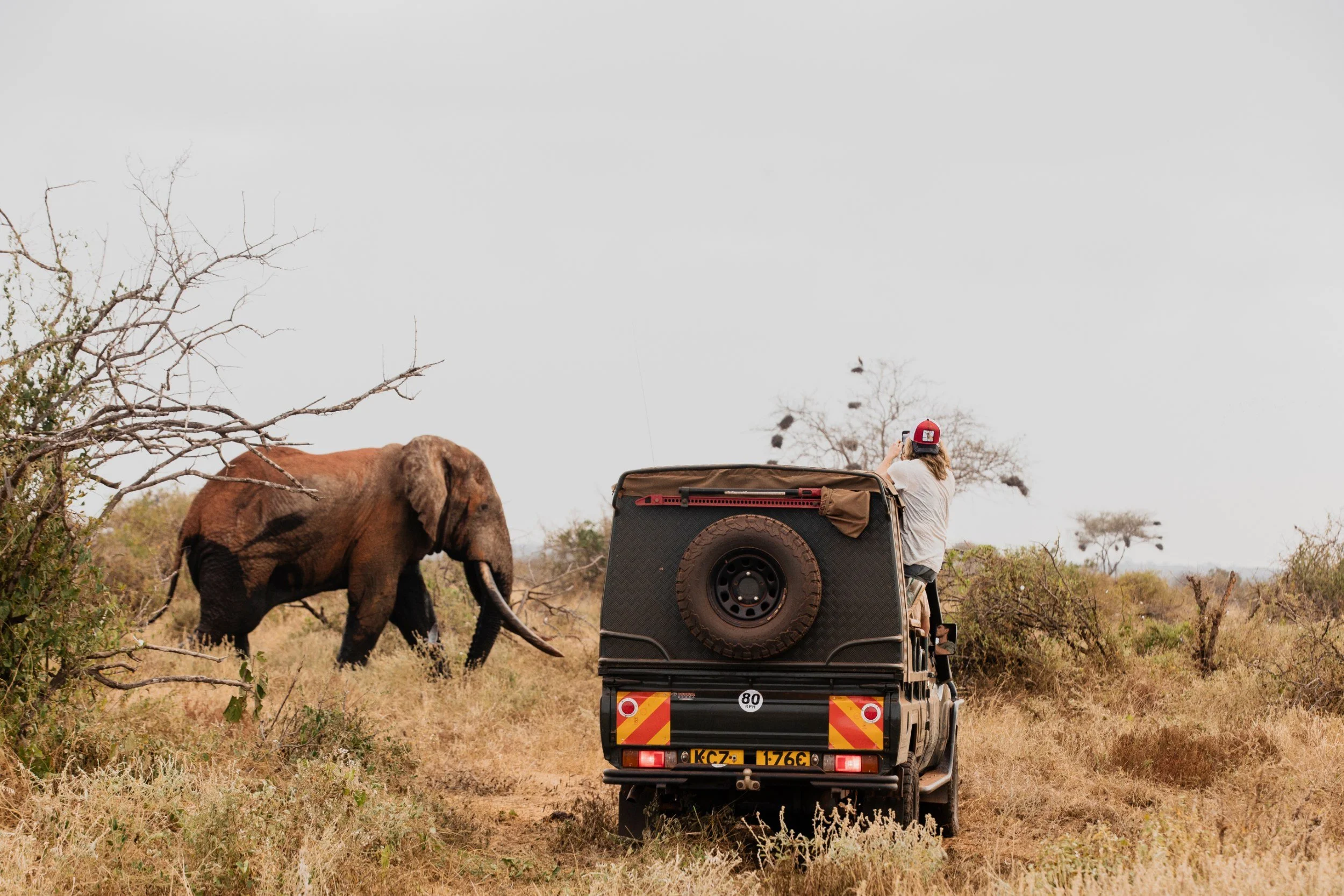 Private Yoga safari at Galdessa Camp on the Galana River, Tsavo East, Kenya, February 2024. Day eight with Wildlife & Yoga