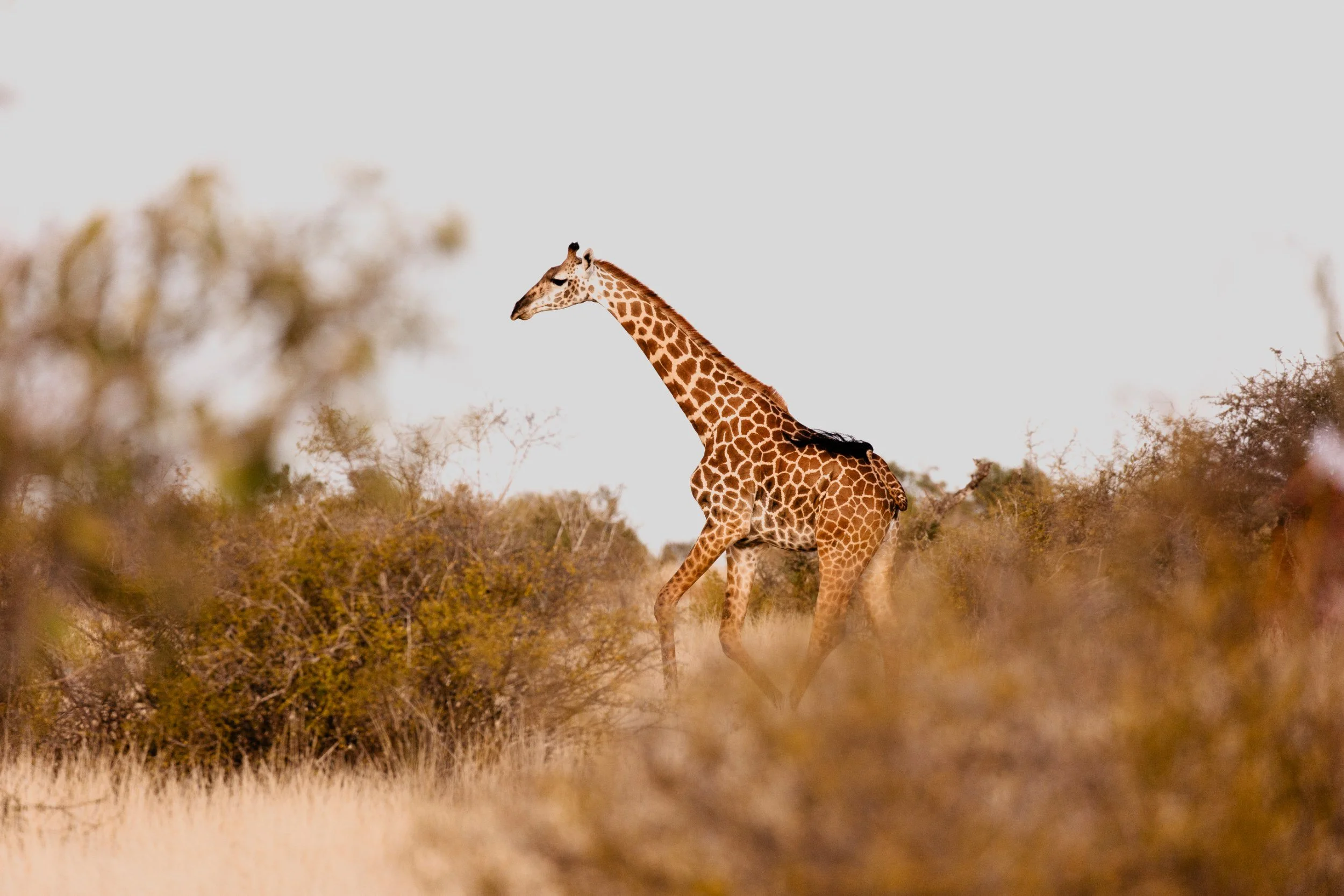 DaySix_009.jpg