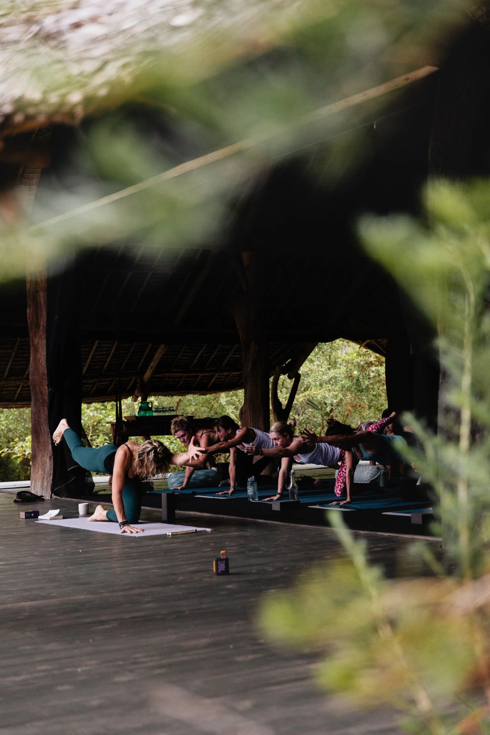 Private Yoga safari at Galdessa Camp on the Galana River, Tsavo East, Kenya, February 2024. Day seven with Wildlife & Yoga