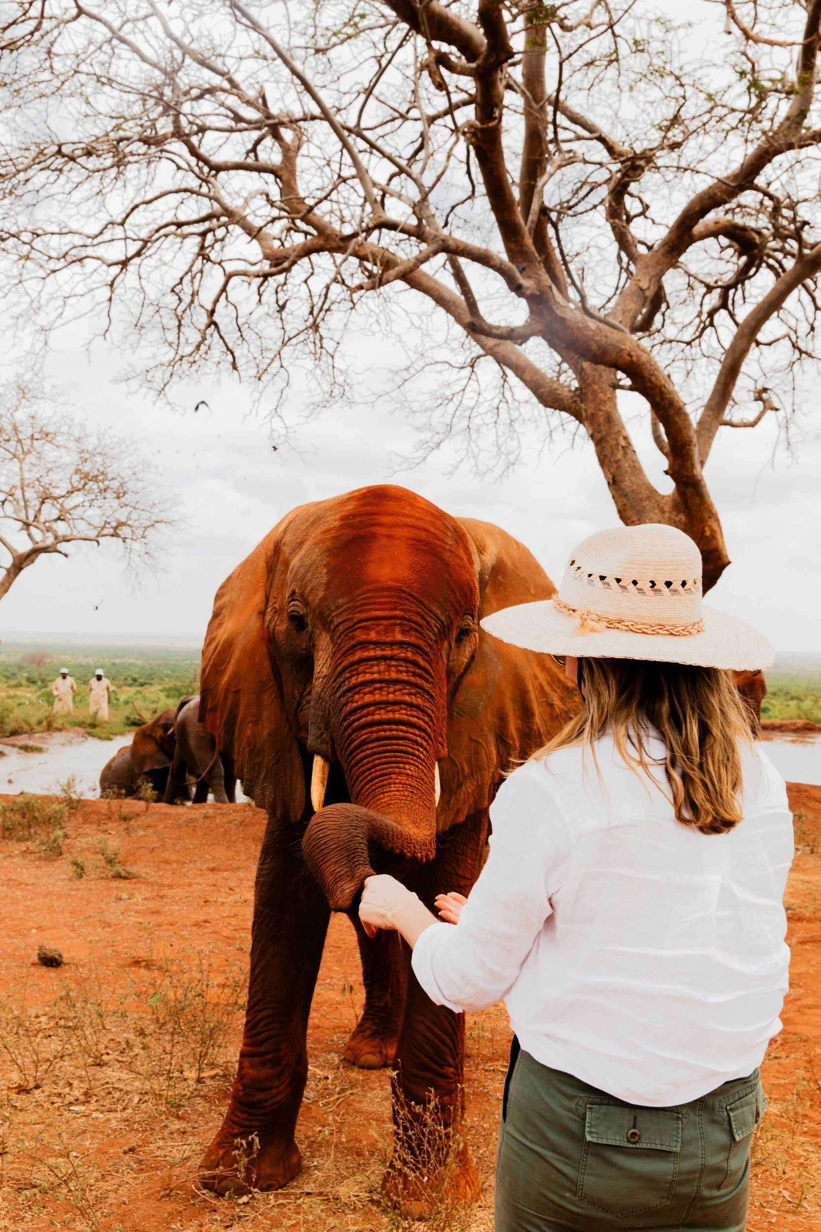 Private Yoga safari at Galdessa Camp on the Galana River, Tsavo East, Kenya, February 2024. Day seven with Wildlife & Yoga