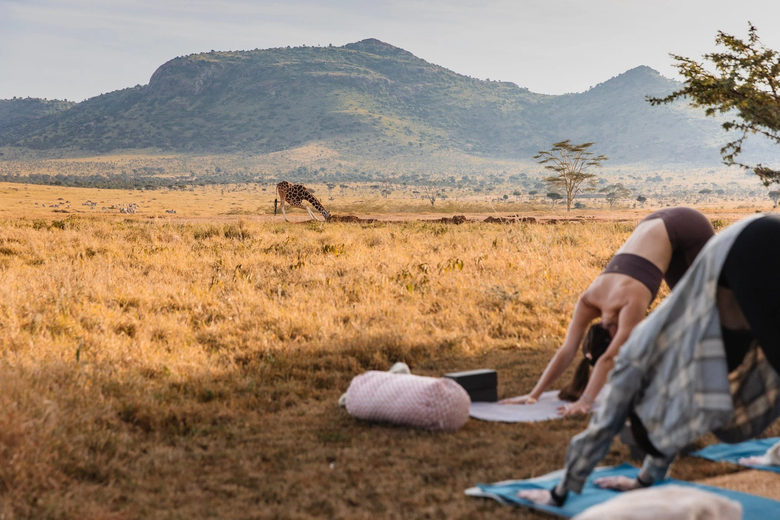 yoga with Laura Bunting