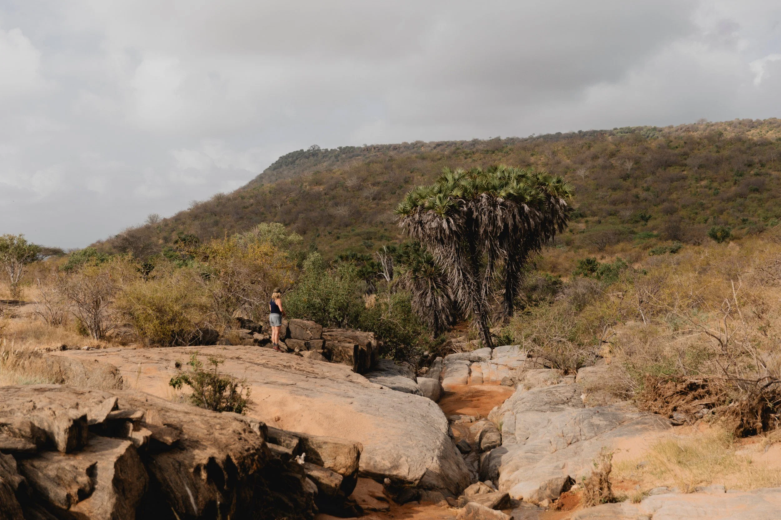 Private Yoga safari at Galdessa Camp on the Galana River, Tsavo East, Kenya, February 2024. Day eight with Wildlife & Yoga