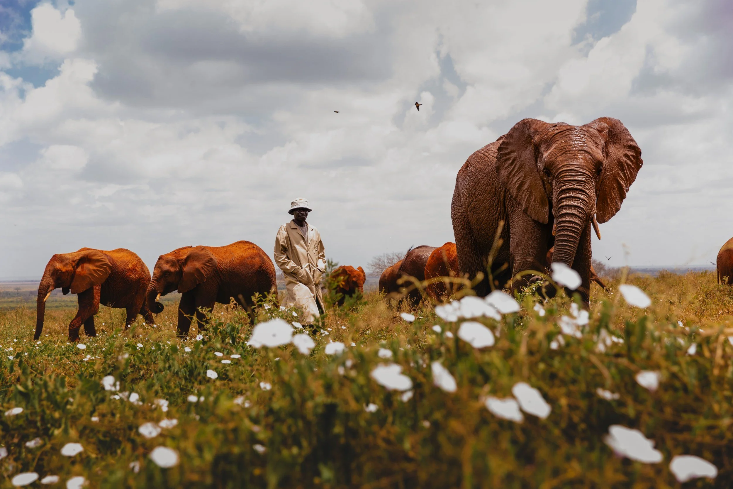 Private Yoga safari at Galdessa Camp on the Galana River, Tsavo East, Kenya, February 2024. Day seven with Wildlife & Yoga