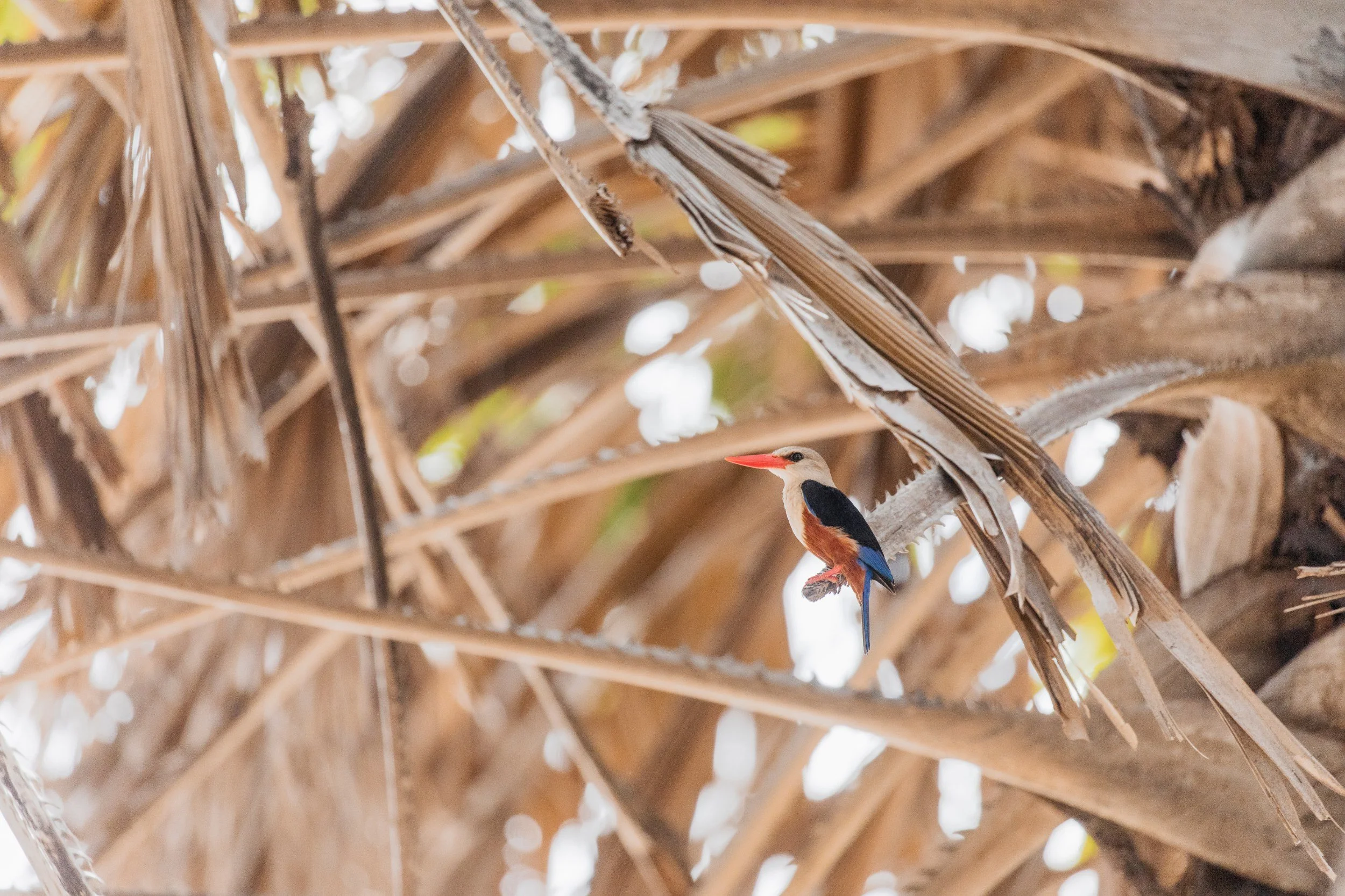 DaySix_018.jpg
