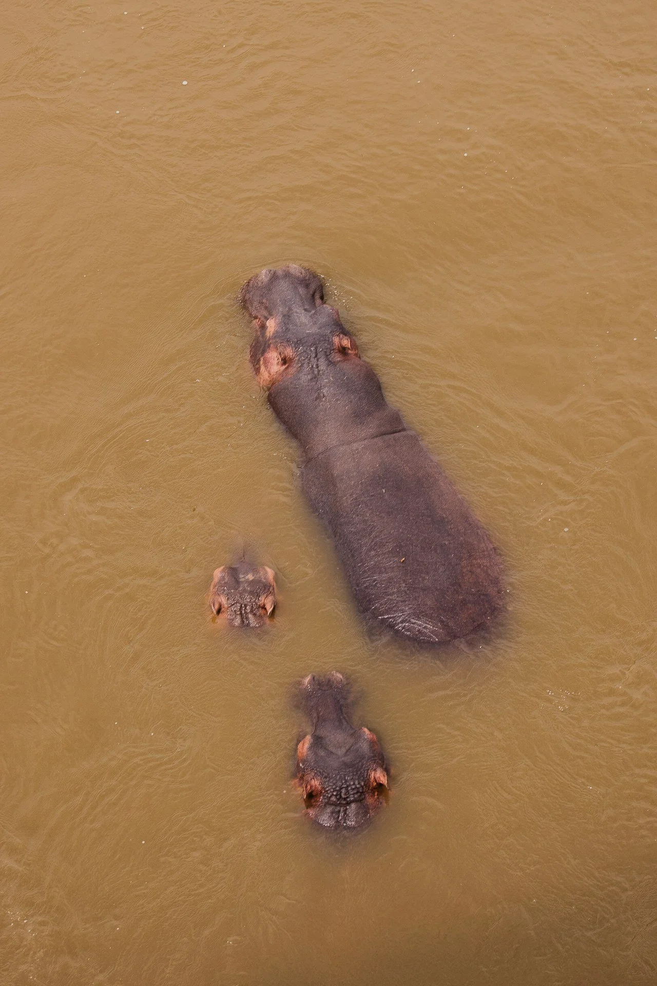 Day4_Mar24_267.jpg