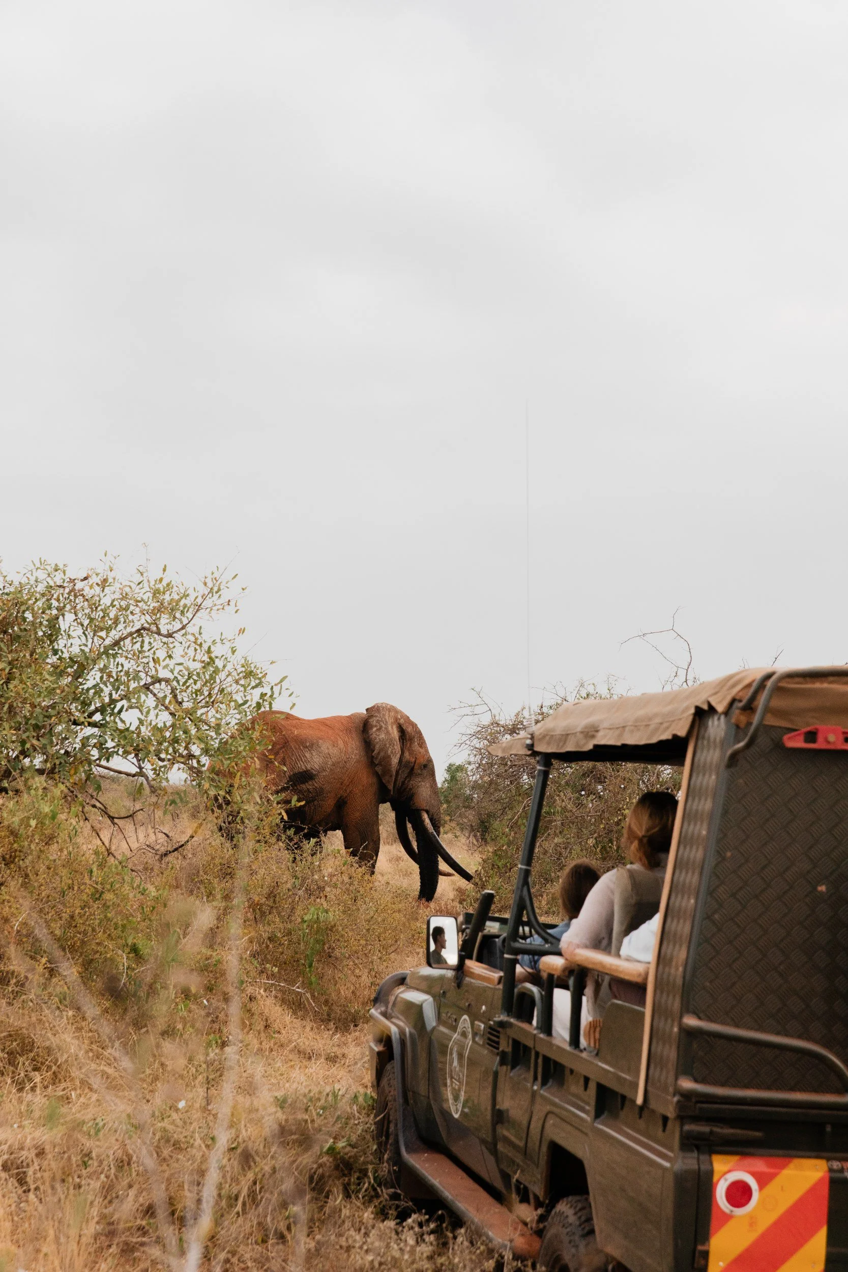 Private Yoga safari at Galdessa Camp on the Galana River, Tsavo East, Kenya, February 2024. Day eight with Wildlife & Yoga