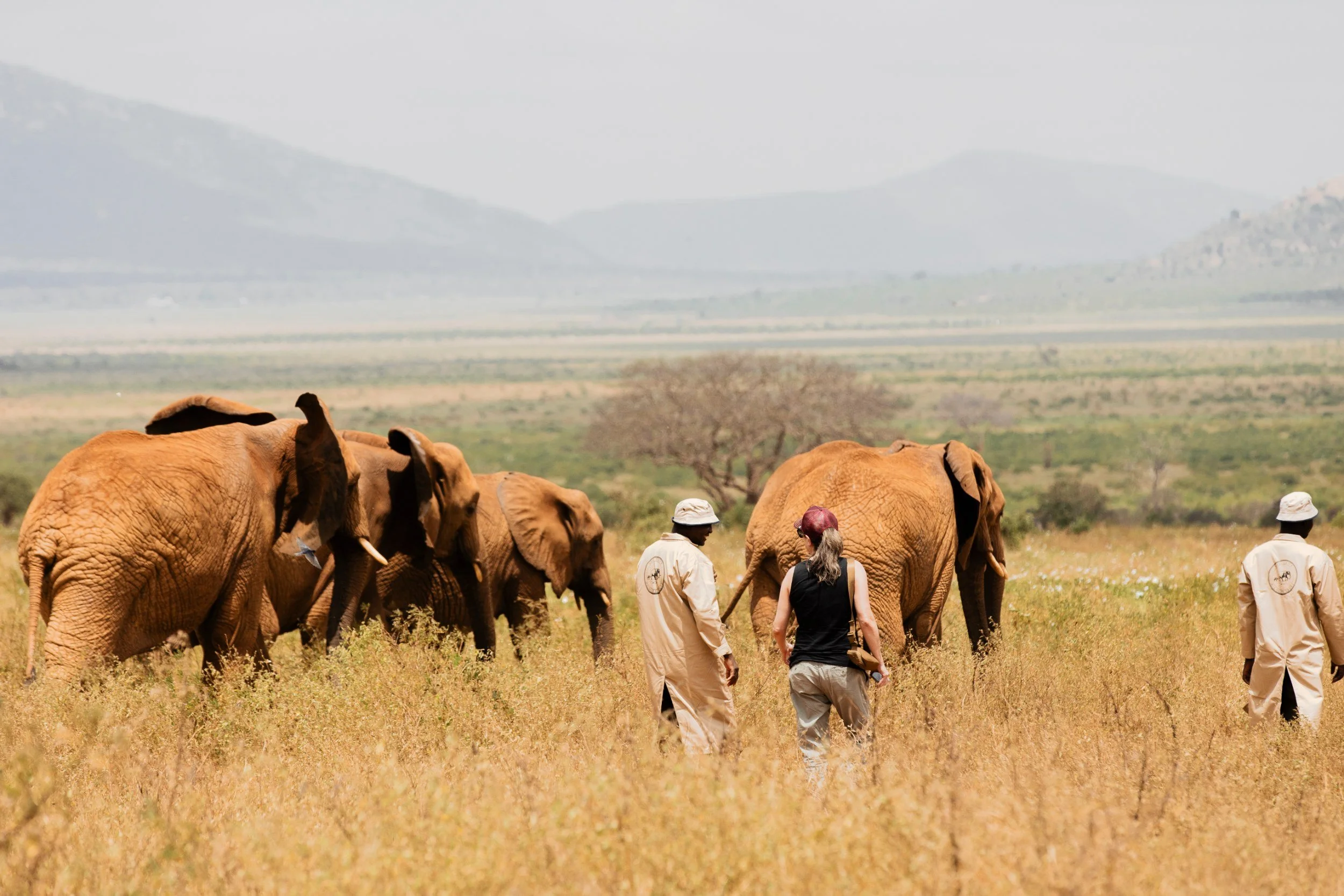 Private Yoga safari at Galdessa Camp on the Galana River, Tsavo East, Kenya, February 2024. Day seven with Wildlife & Yoga