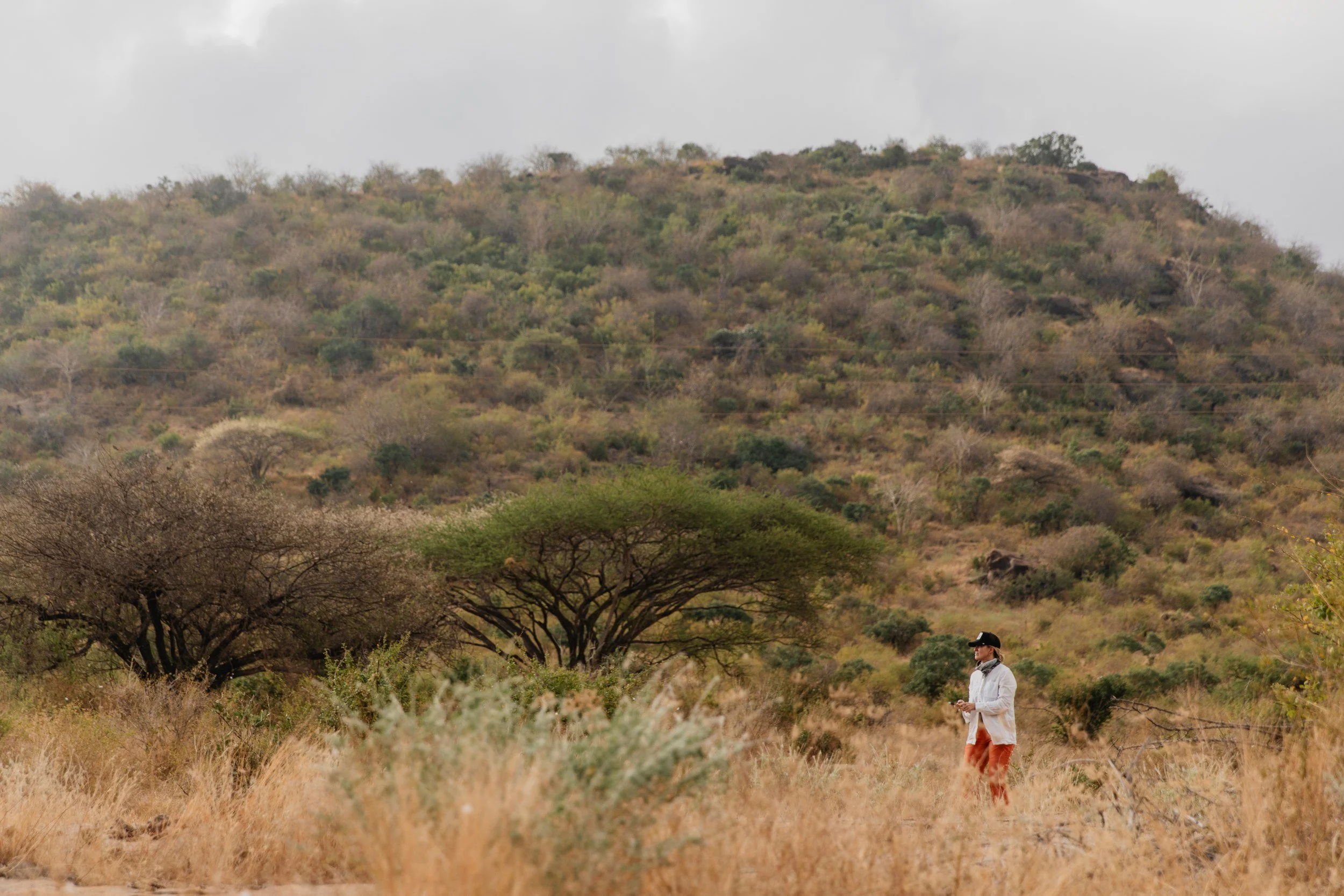 Private Yoga safari at Galdessa Camp on the Galana River, Tsavo East, Kenya, February 2024. Day eight with Wildlife & Yoga