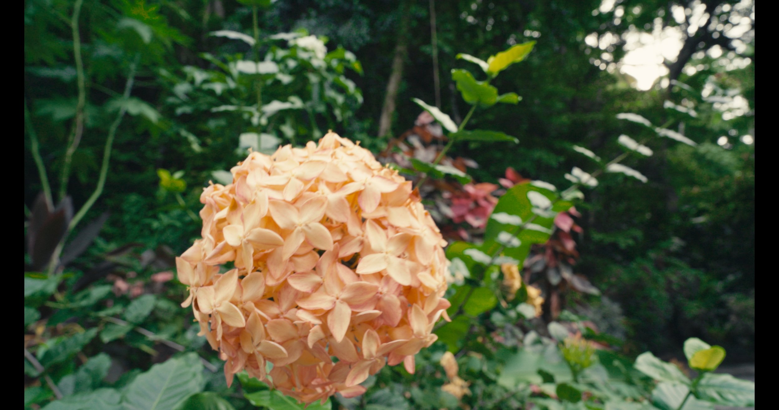 Untitled_1.161.1.jpg