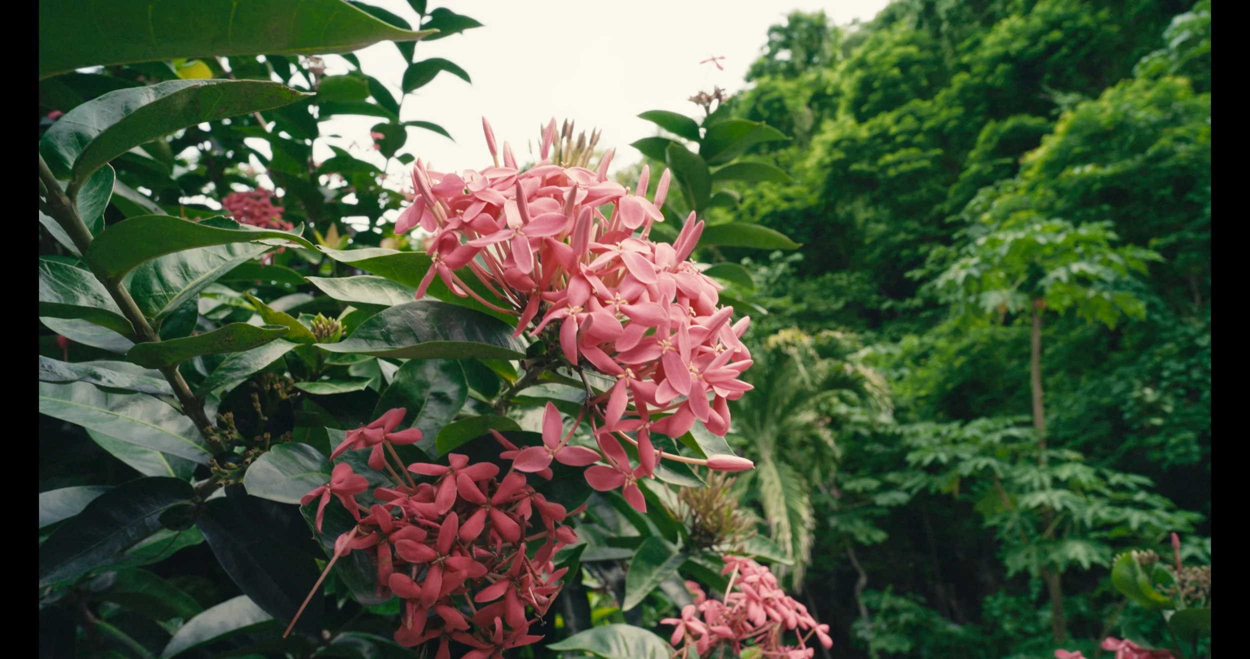 Untitled_1.160.1.jpg