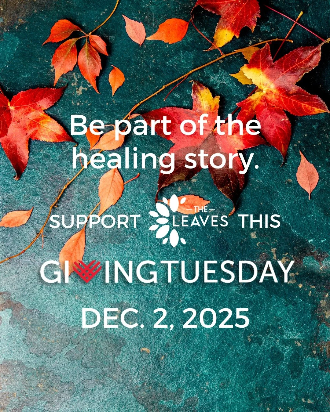 💙 This Giving Tuesday, Dec. 2nd, your generosity has the power to bring comfort, healing, and hope through Christian Science Nursing at The Leaves in Dallas.
💜 At The Leaves, our skilled Christian Science Nurses provide inpatient care, outpatient c