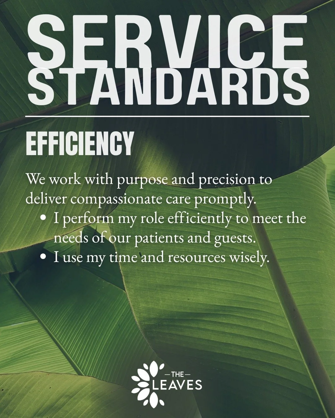 🌿As a commitment to continuing to serve our patients and community with excellence, we adhere to five Service Standards.
🍃Today, we focus on Efficiency: 
We work with purpose and precision to deliver compassionate care promptly.
&bull; I perform my