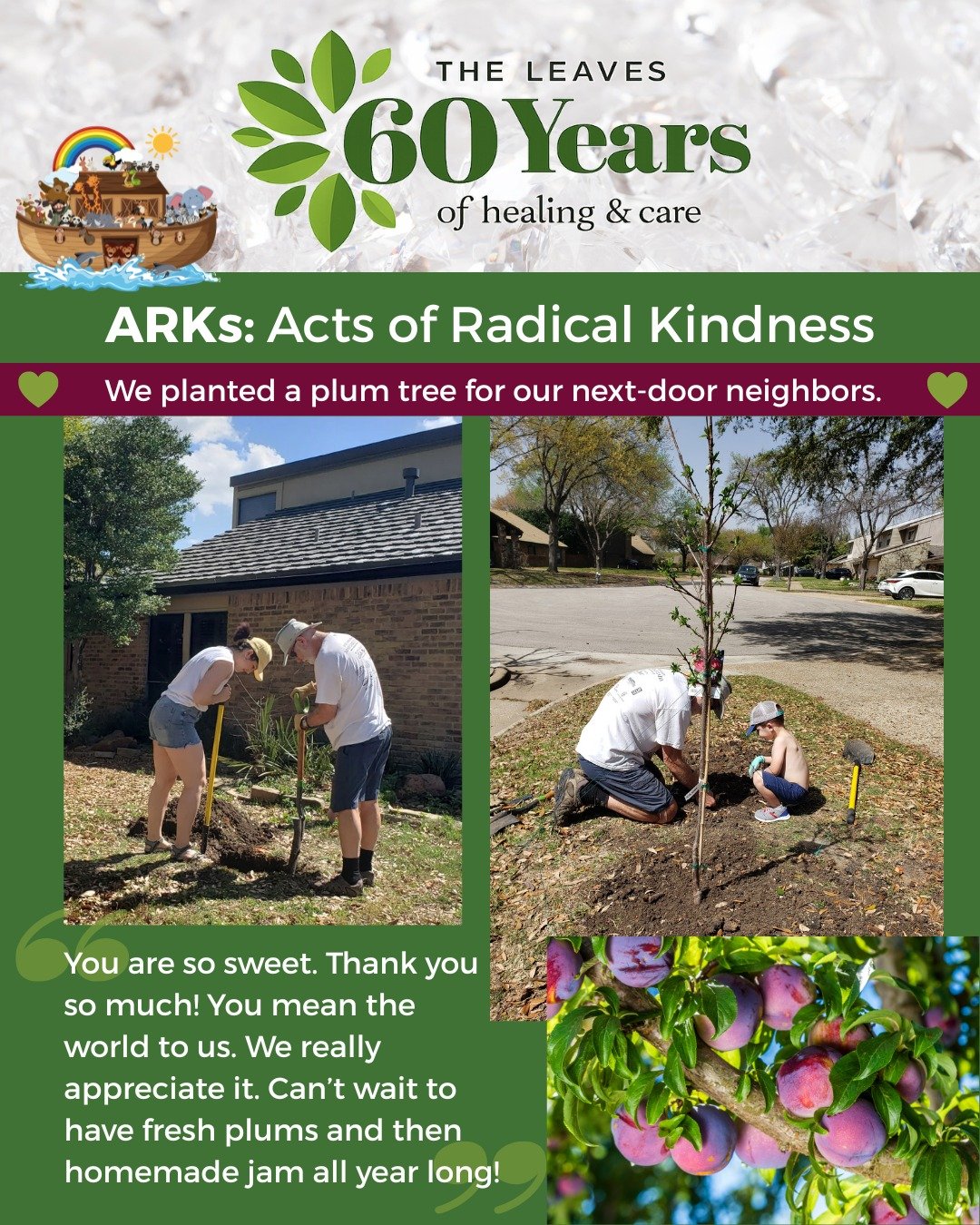 💝ARKs = Acts of Radical Kindness
🎉 In celebration of our 60th anniversary, we've been focusing on ARKs for the month of March. 
🌸🌳 One of you wrote in with an ARK: "We purchased and planted a plum tree for our next-door neighbors. We have pl