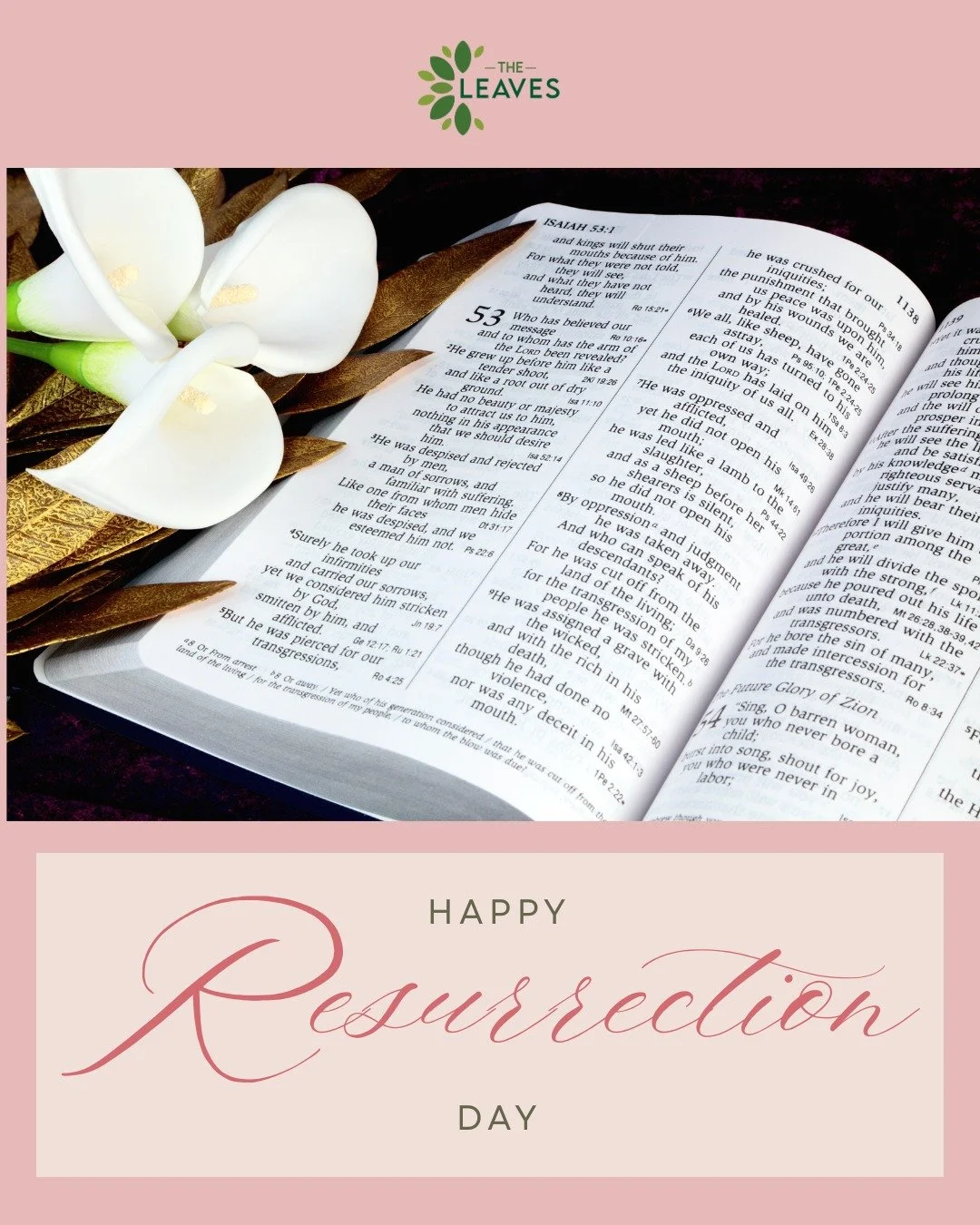 Happy Resurrection Day from our family to yours. 💝 May today and everyday be filled with the joy of Christ Jesus' victory over the belief of sin, sickness, and death. 🕊#ascension 
.
#resurrection #ChristJesus #eternalLife #victory #GloryofGod #Godi