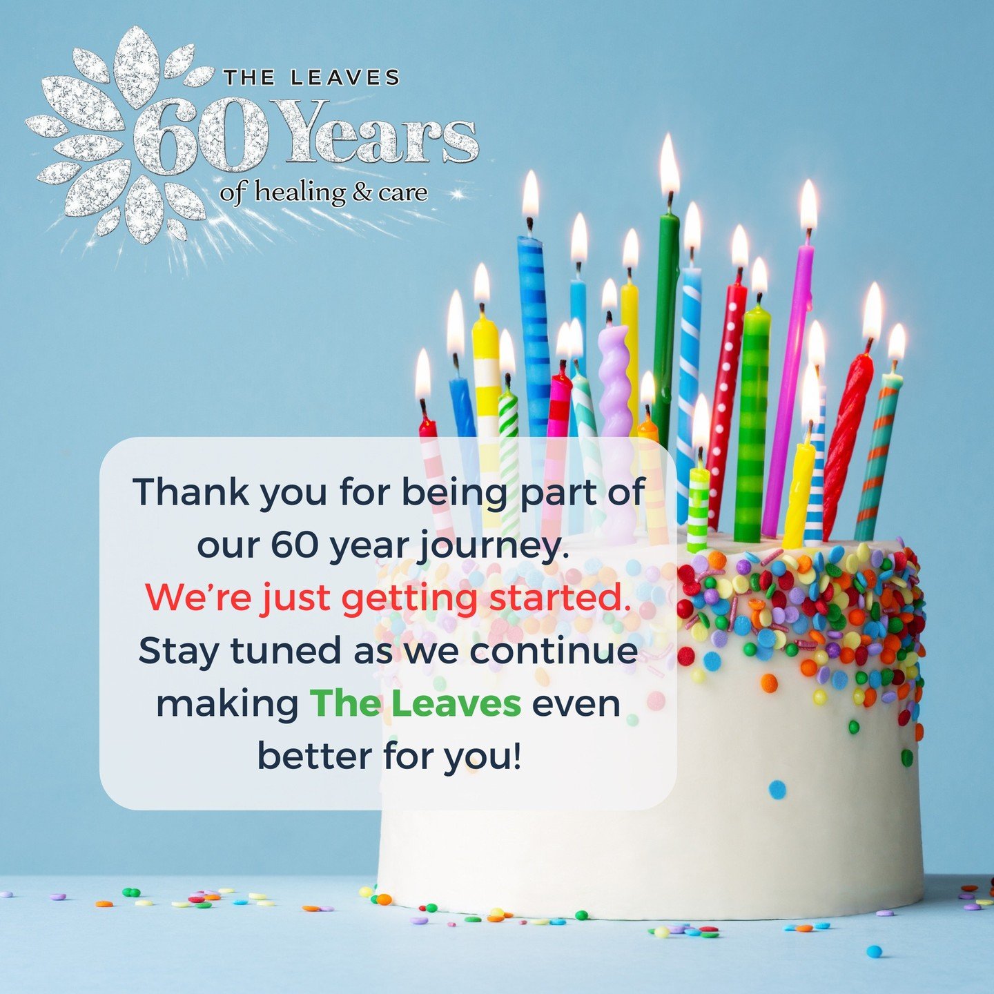 🎂 2026 is The Leaves' 60th year anniversary! 💎
🤝 Thank you for being with us every step of the way. 💚 We are here FOR you and BECAUSE of you. 🌿Stay tuned as we continue making The Leaves even better for you!
🔗 Check out our 60th year landing pa
