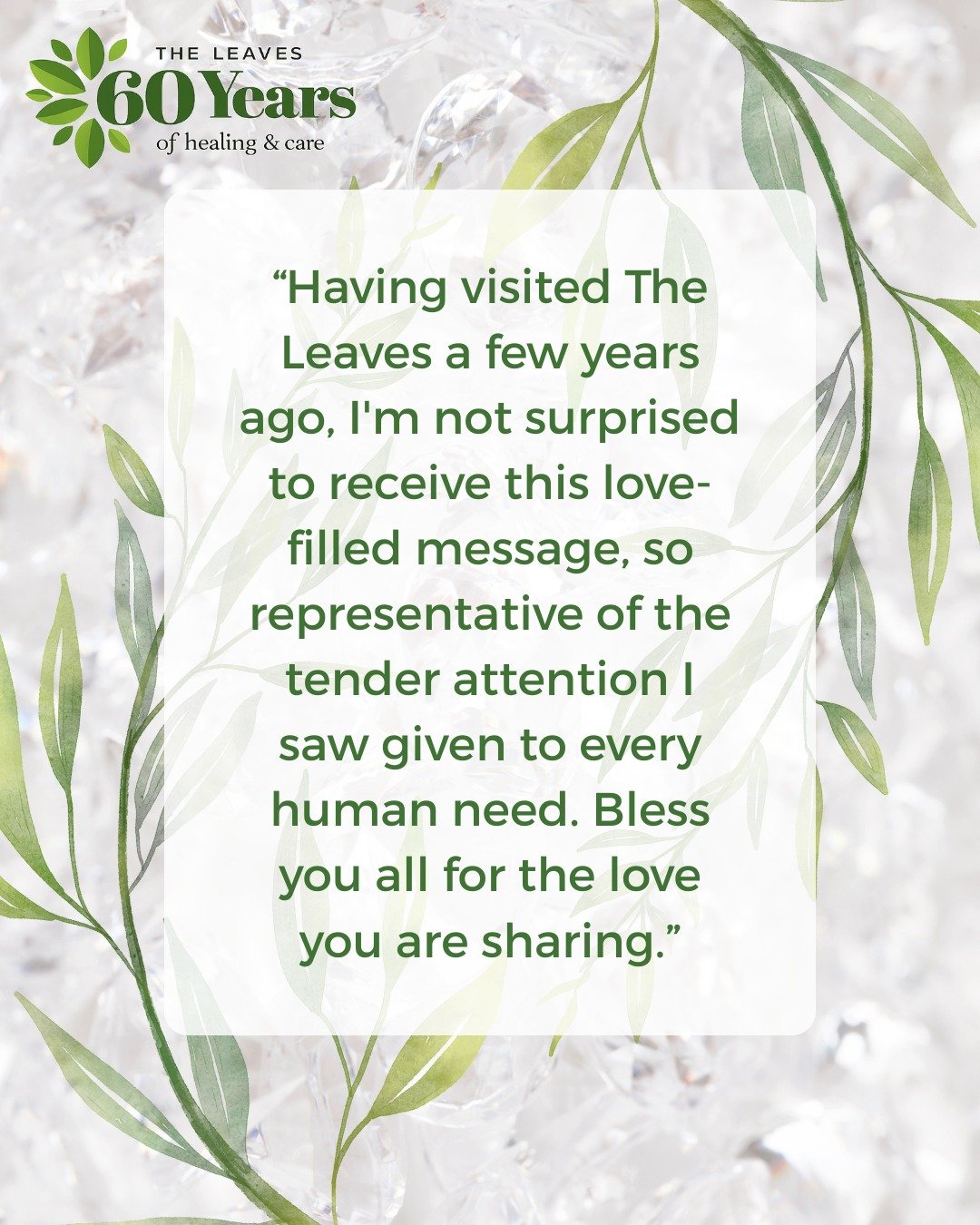 💗We love feedback! We just got this sweet note in response to the video series we just released. Haven't seen it yet? Check for the email in your inbox or visit theleaves.org/60th-anniversary (🔗 in bio).
.
#videoseries #ourgifttoyou #christlyminist